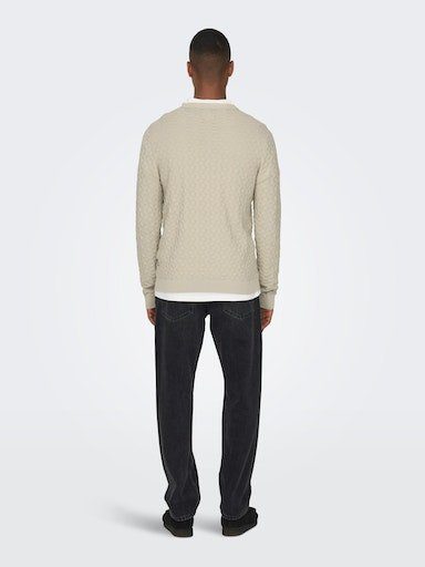 ONLY & SONS Rundhalspullover ONSKALLE REG günstig online kaufen