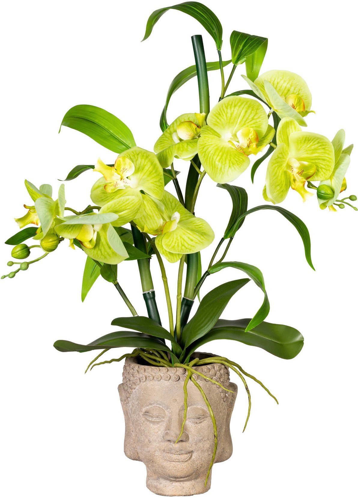 Kunstorchidee Orchideen-Bambus-Arrangement im Buddhakopf Orchidee, Creativ  green, Höhe 60 cm