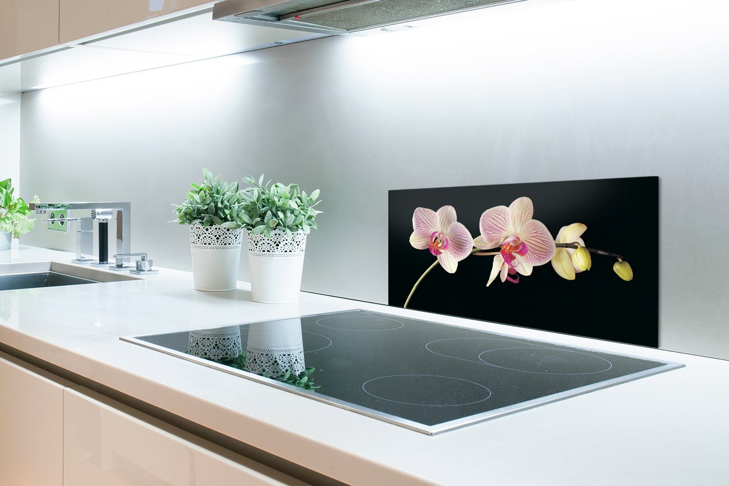MuchoWow Küchenrückwand Orchidee (1-tlg), Fett Küchen Wandschutz, - Blumen - Knöpfe, - 60x30 Schmutzflecken - cm, und gegen für Schwarz Rosa