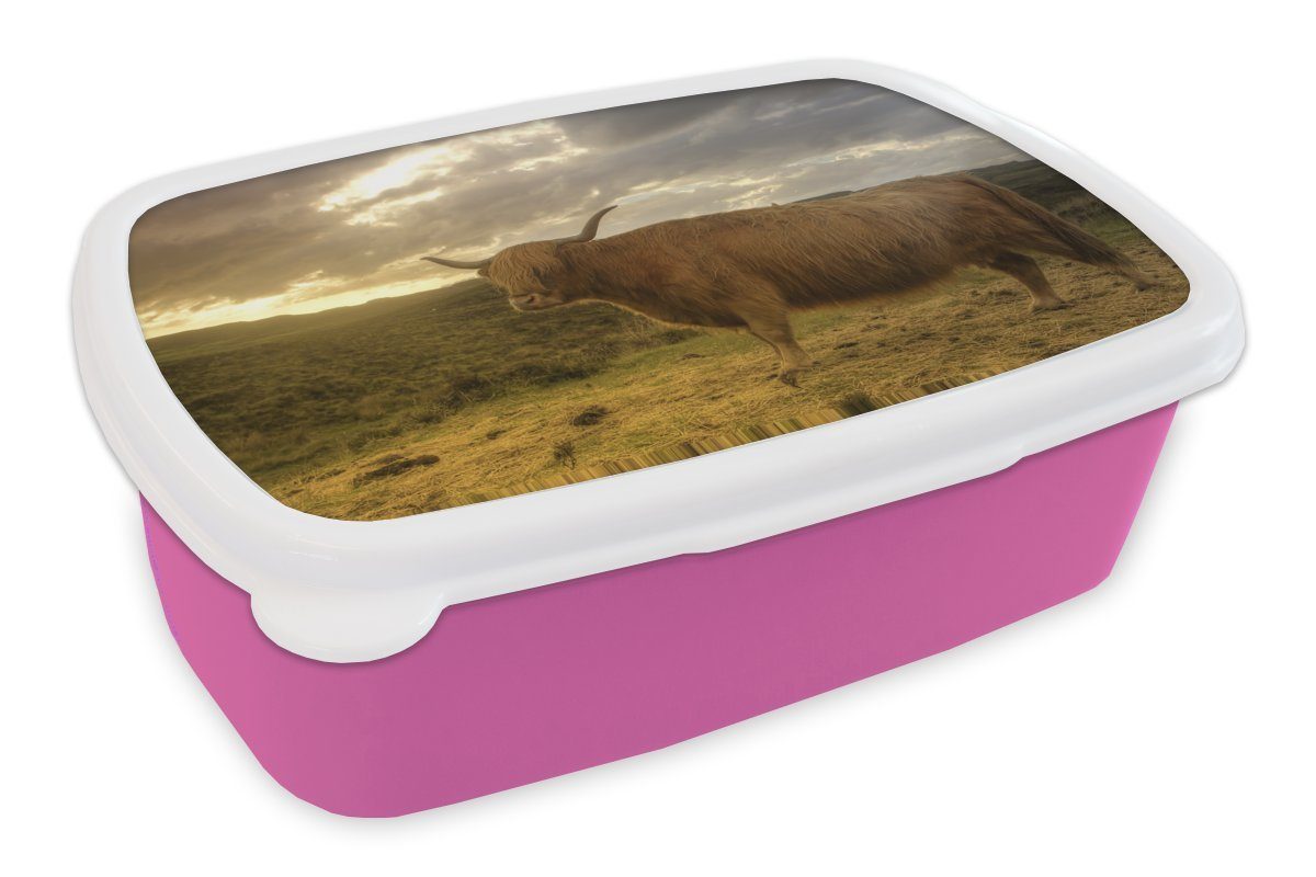MuchoWow Lunchbox Schottische Highlander - Landschaft, Kunststoff, (2-tlg), Brotbox für Erwachsene, Brotdose Kinder, Snackbox, Mädchen, Kunststoff rosa