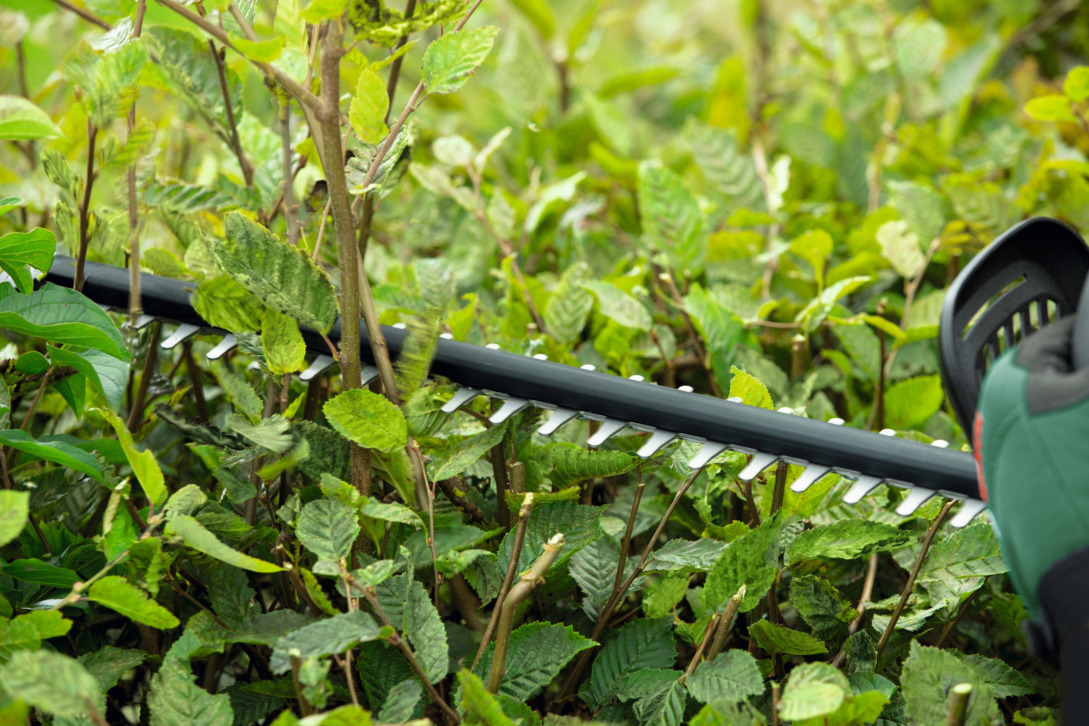 Bosch Home & Garden Akku-Heckenschere UniversalHedgeCut18-50, 50 cm Schnittlänge, ohne Akku und Ladegerät – Bild 5 von 5