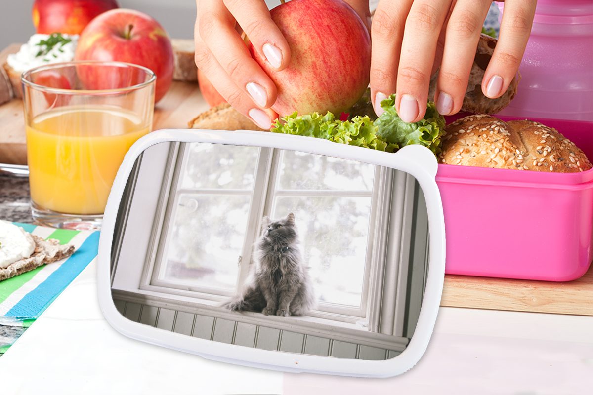 (2-tlg), Kunststoff, für Brotbox Snackbox, der Fensterbank, Lunchbox Brotdose MuchoWow Mädchen, Kinder, sitzt Cat auf Maine Coon rosa Kunststoff Erwachsene,