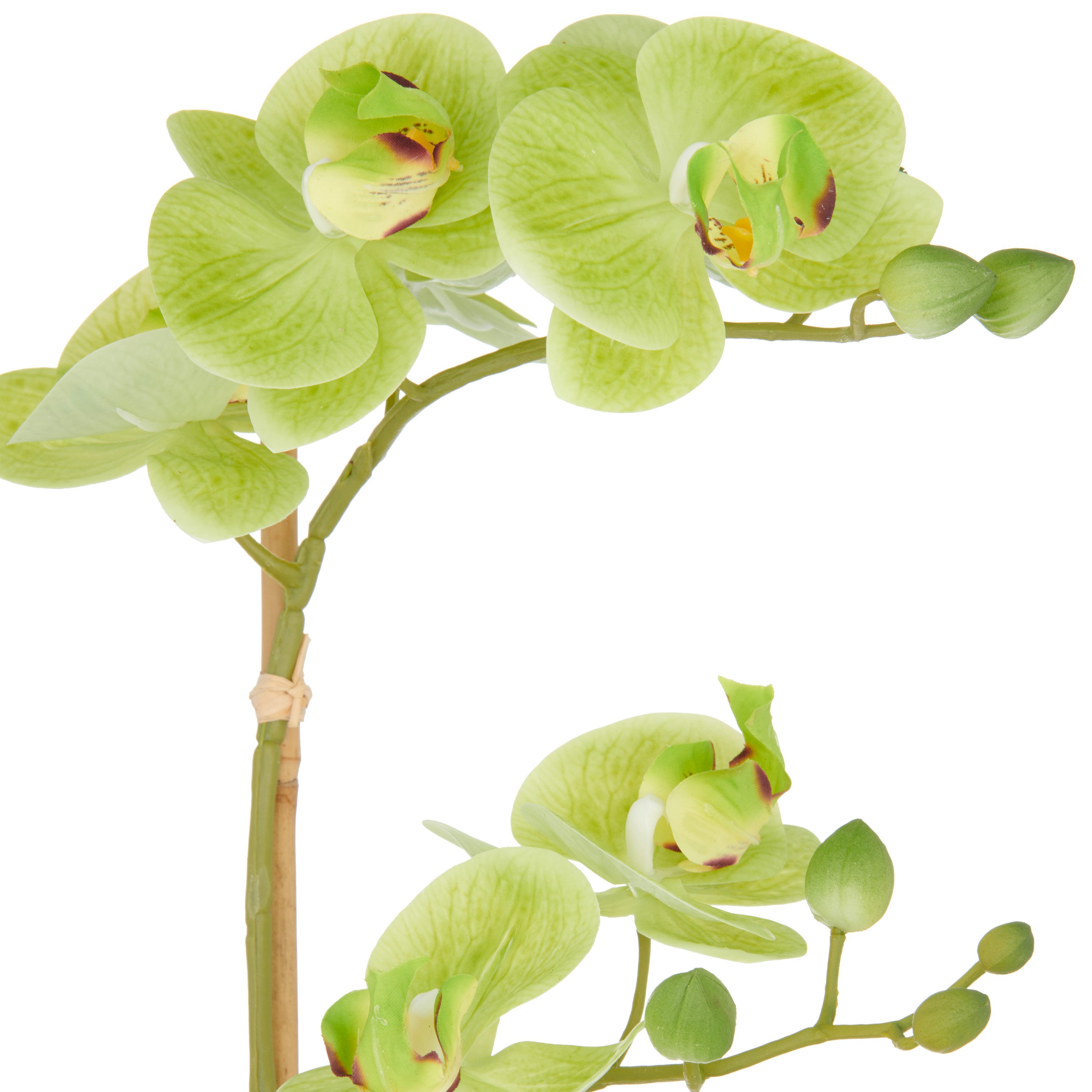 Kunstorchidee Orchidee Phalaenopsis, Creativ green, Höhe günstig online kaufen