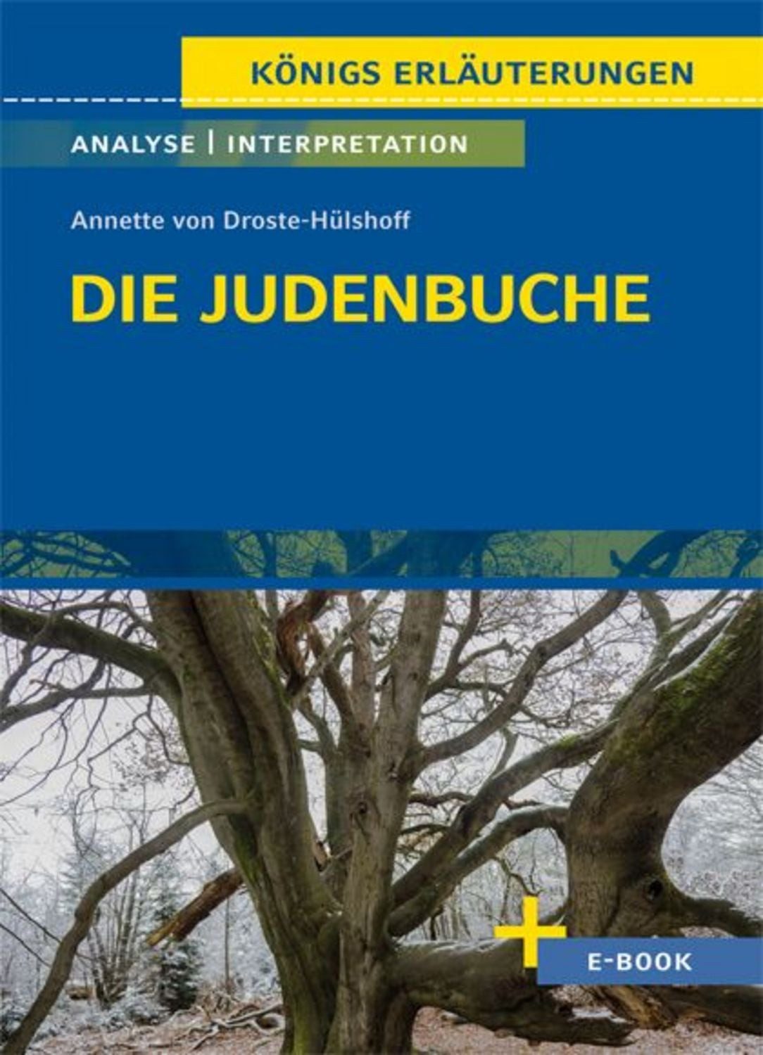 Die Judenbuche von Annette von Droste-Hülshoff / Annette von Droste-Hülshoff