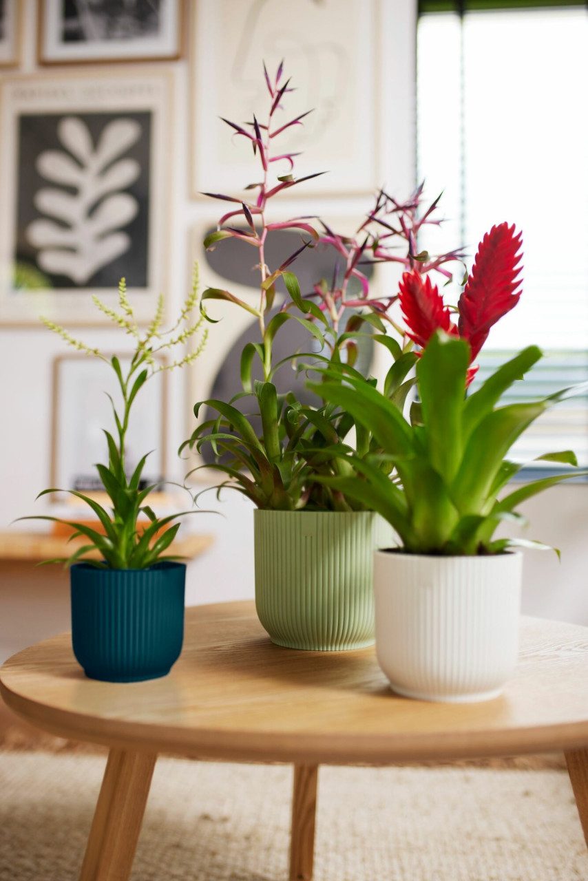 Elho Blumentopf Elho Blumentopf Vibes Fold günstig online kaufen