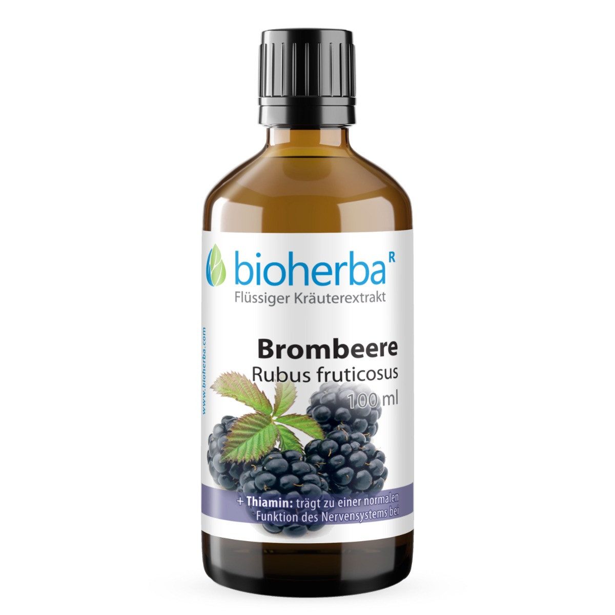 BIOHERBA R Bioherba Brombeere Rubus fruticosus Tropfen Tinktur 100 ml Tropfen