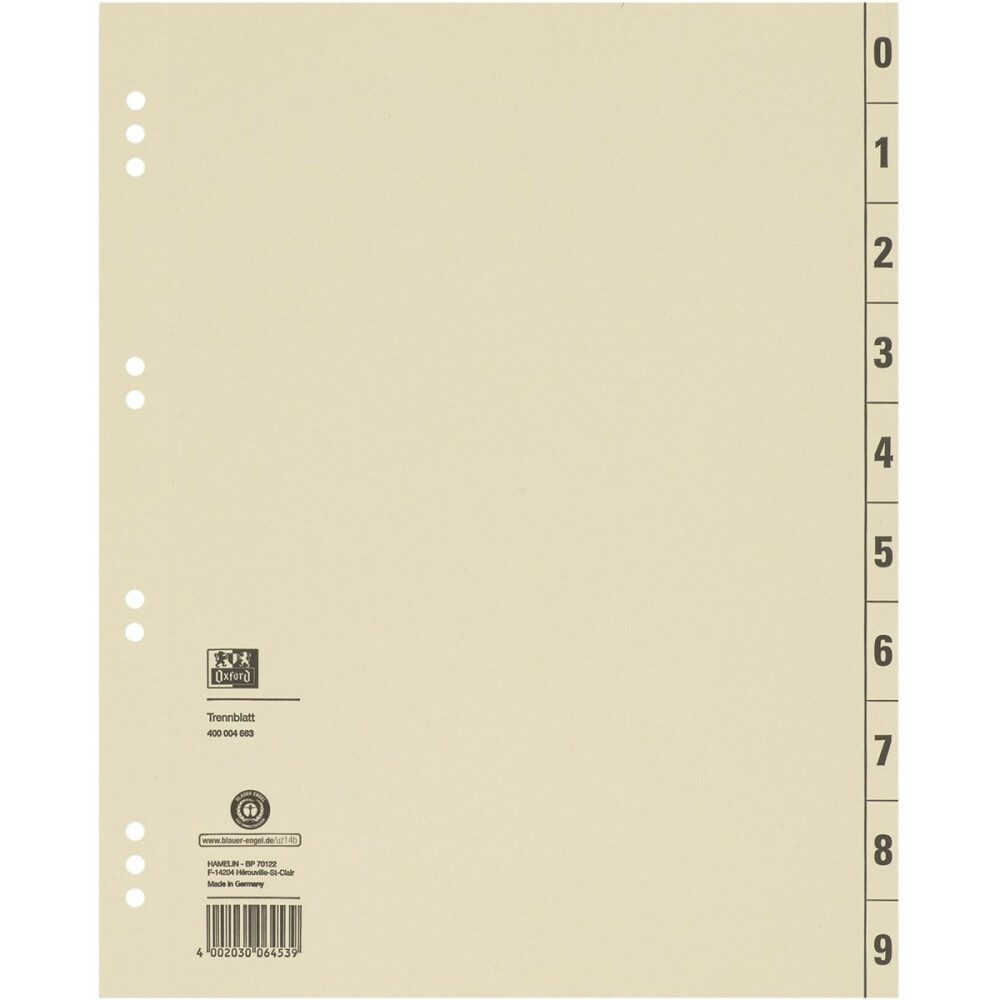 ELBA Designpapier Trennblätter Elba 06453 - DIN A4 - chamois - 100Stk