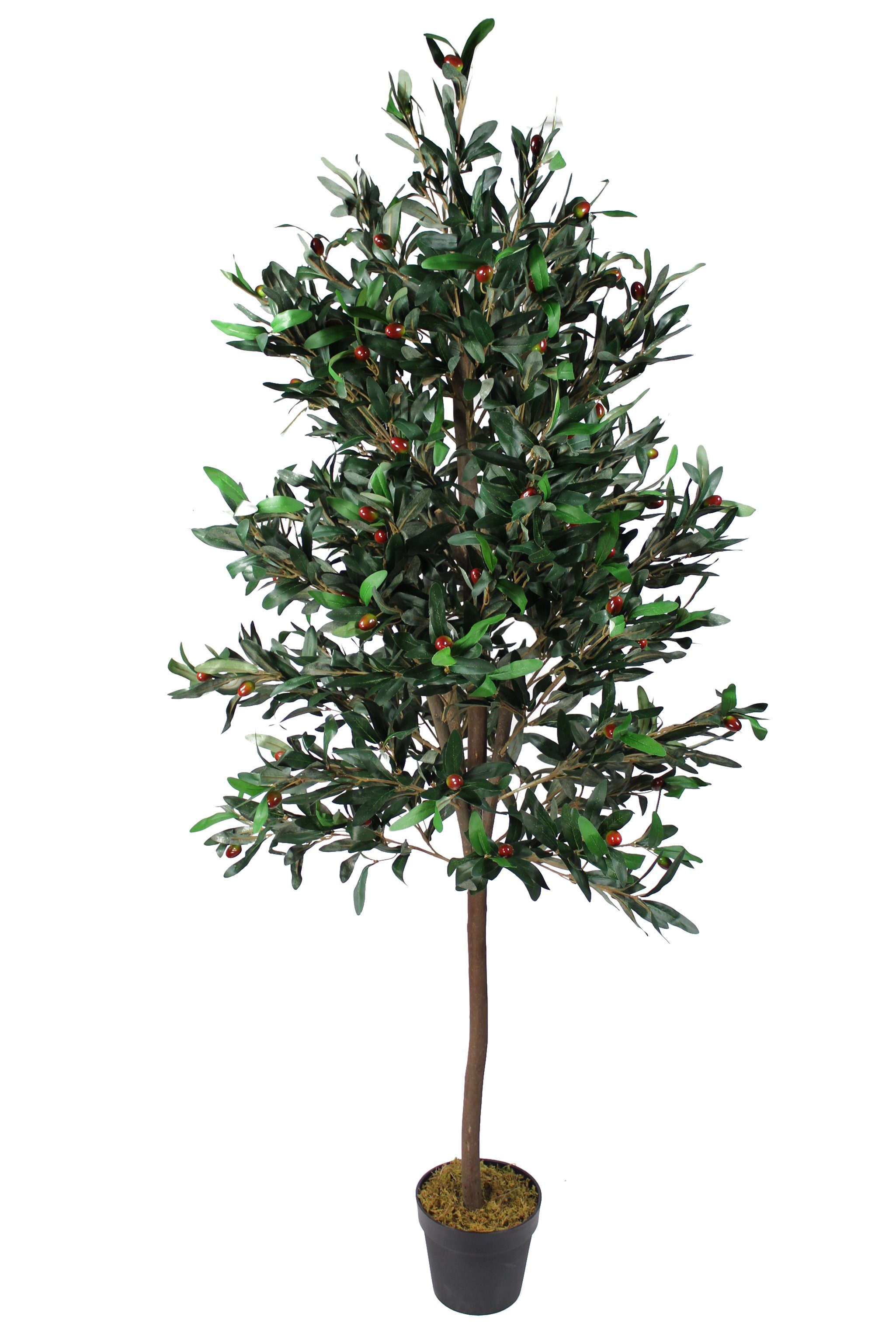 Echtholzstamm 2070 cm Olivenbaum 185 Arnusa, künstlicher Premium Blätter Höhe Kunstpflanze Olive,