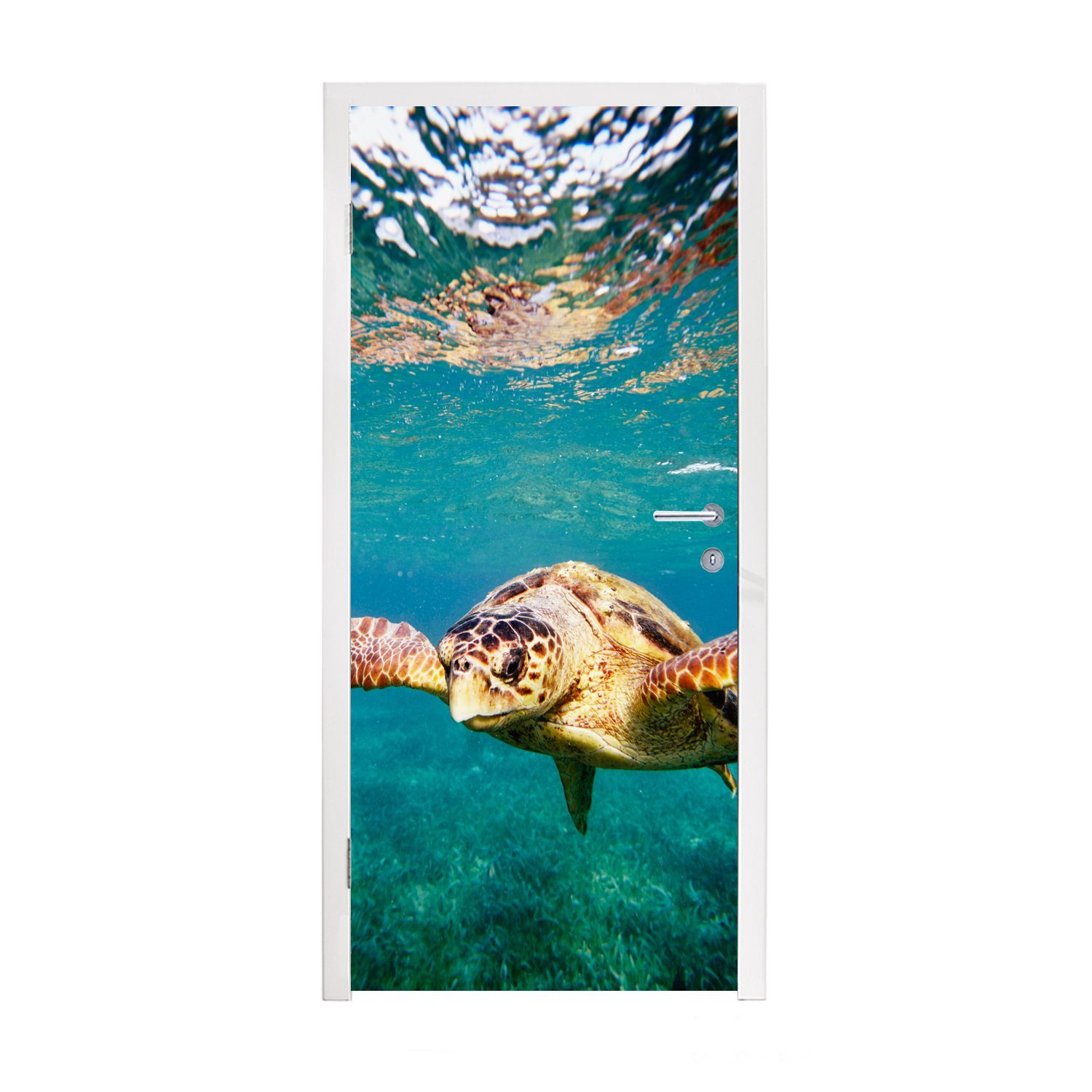 MuchoWow Türtapete Schildkröte - Wasser - Blau, Matt, bedruckt, (1 St), Fototapete für Tür, Türaufkleber, 75x205 cm