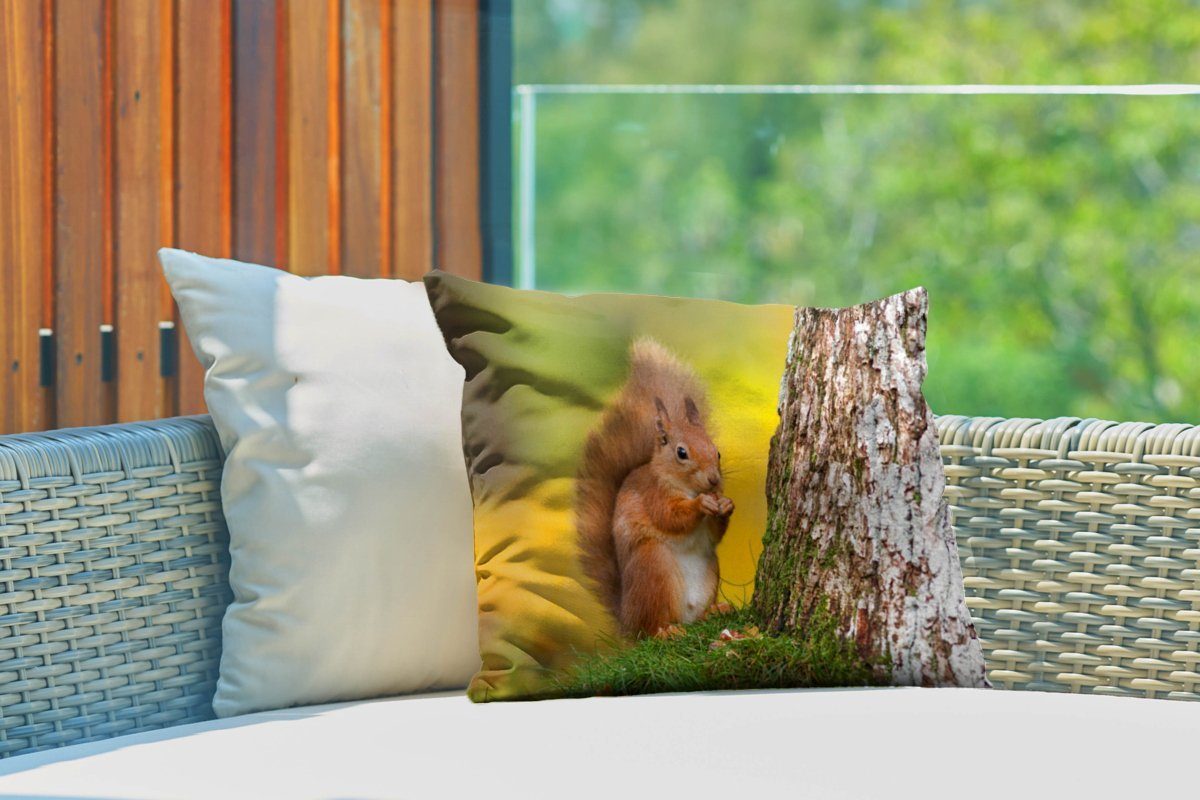 Eichhörnchen Dekokissen dem Outdoor-Dekorationskissen, Baum, Rotes Kissenhülle Polyester, neben MuchoWow Dekokissenbezug,