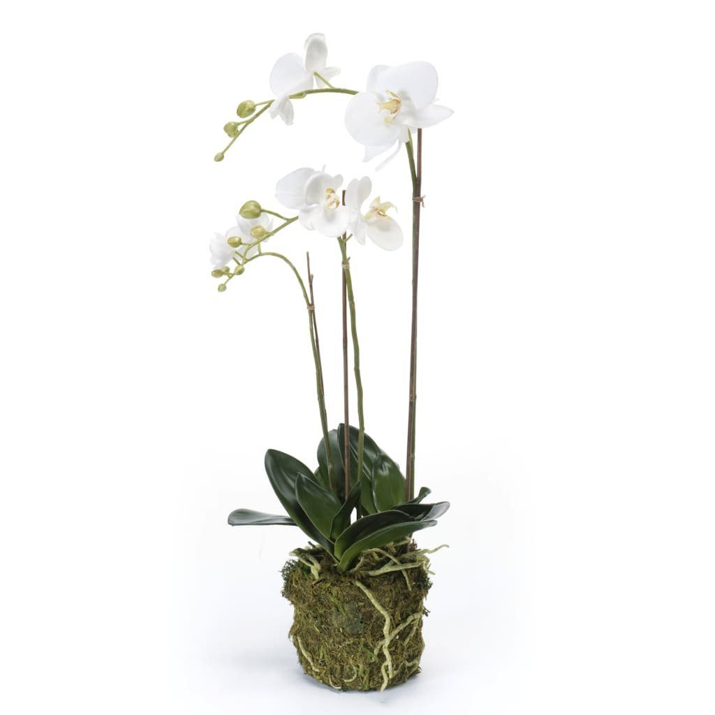Emerald Phalaenopsis-Orchidee mm Eternal Green cm, Künstliche Kunstrasen 70 70 Höhe: Weiß Emerald,