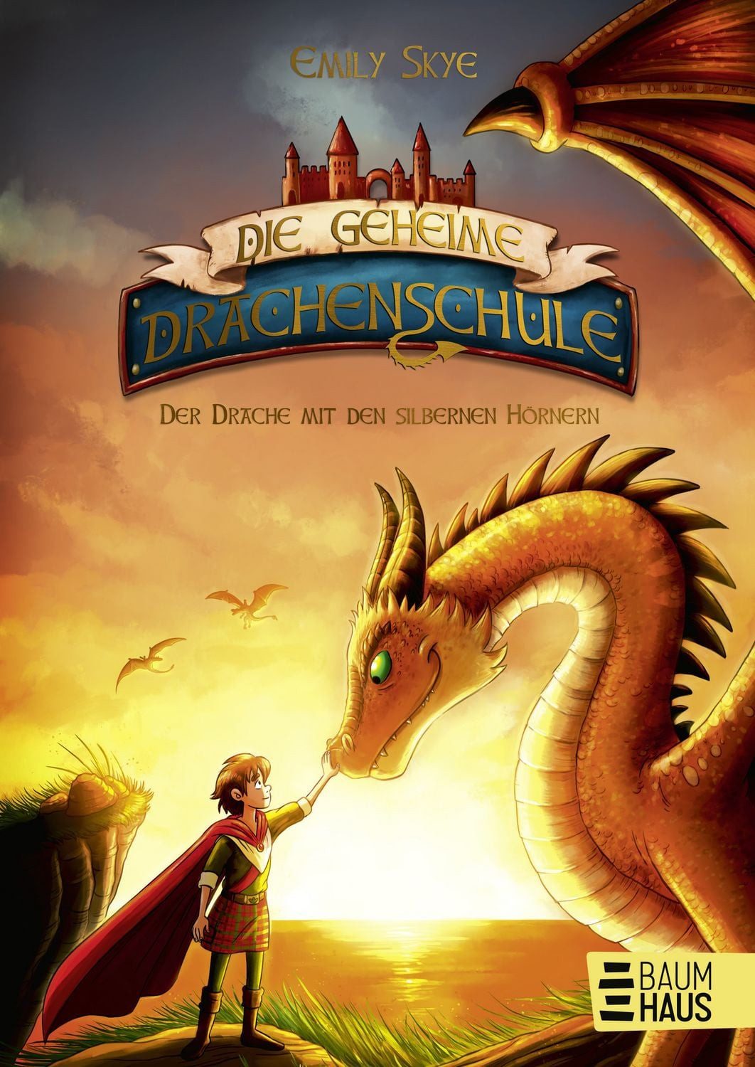 Die geheime Drachenschule - Der Drache mit den silbernen Hörnern / Emily Skye