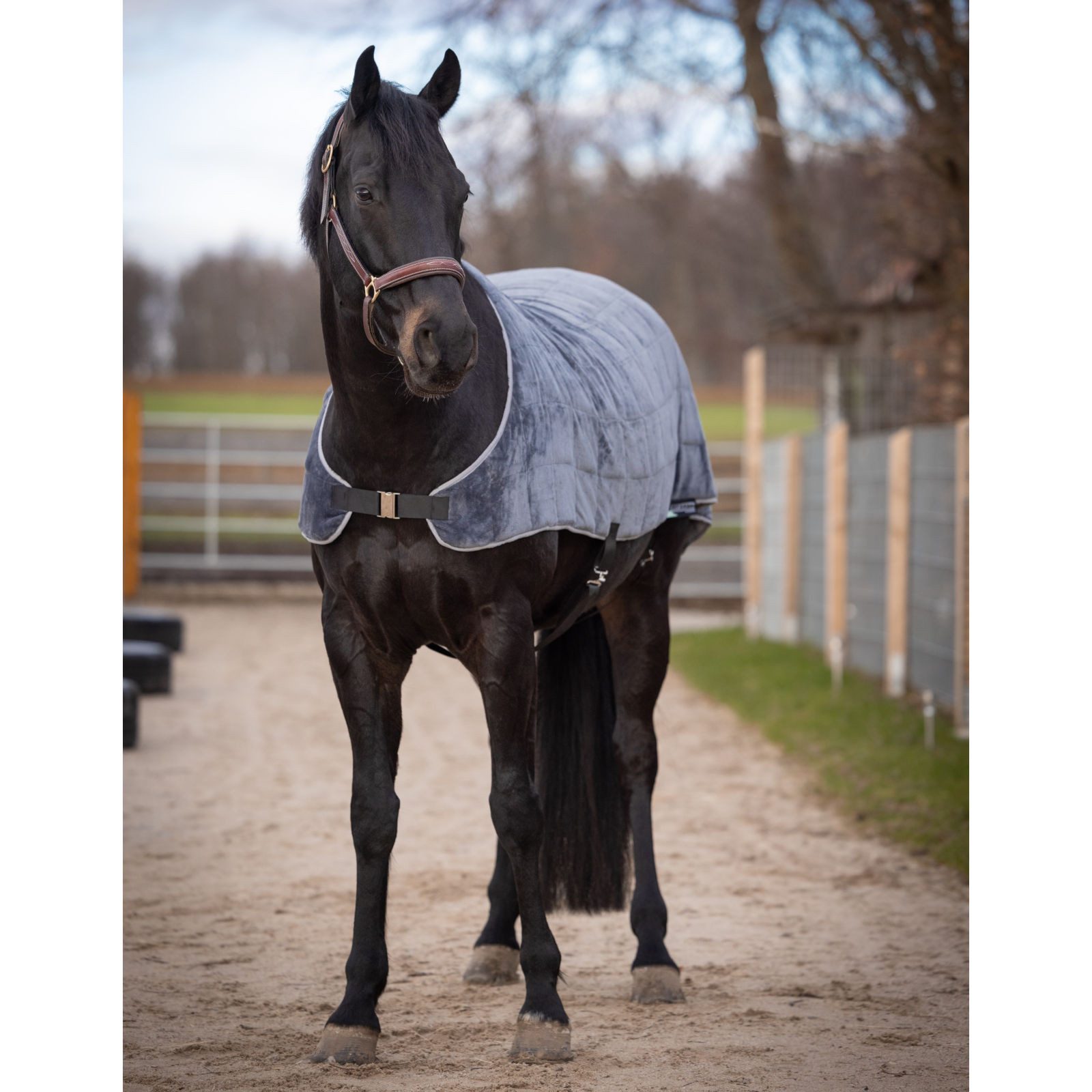 Shield On Pferde-Stalldecke RELAXAH Gewichtsdecke - Entspannungsdecke für Pferde - anthrazit