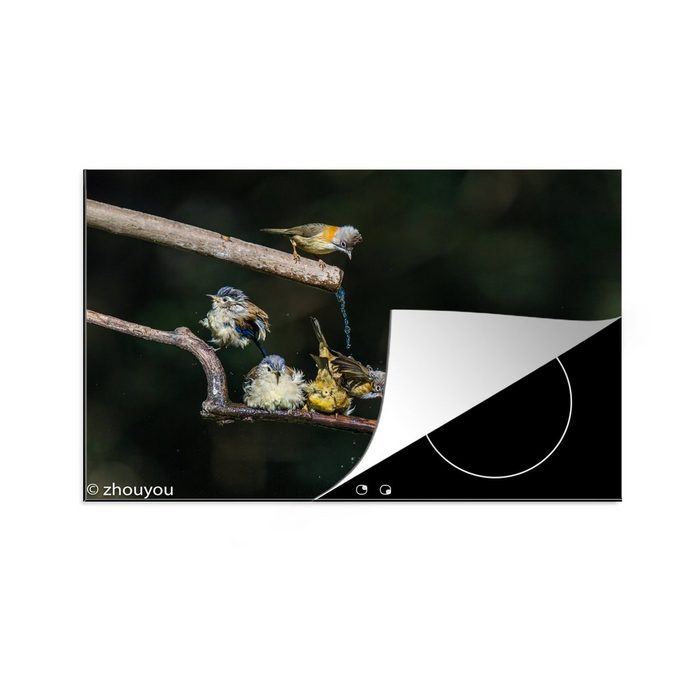 MuchoWow Herdblende-/Abdeckplatte Vogel - Zweig - Wasser Vinyl (1 tlg) Ceranfeldabdeckung für die küche Induktionsmatte