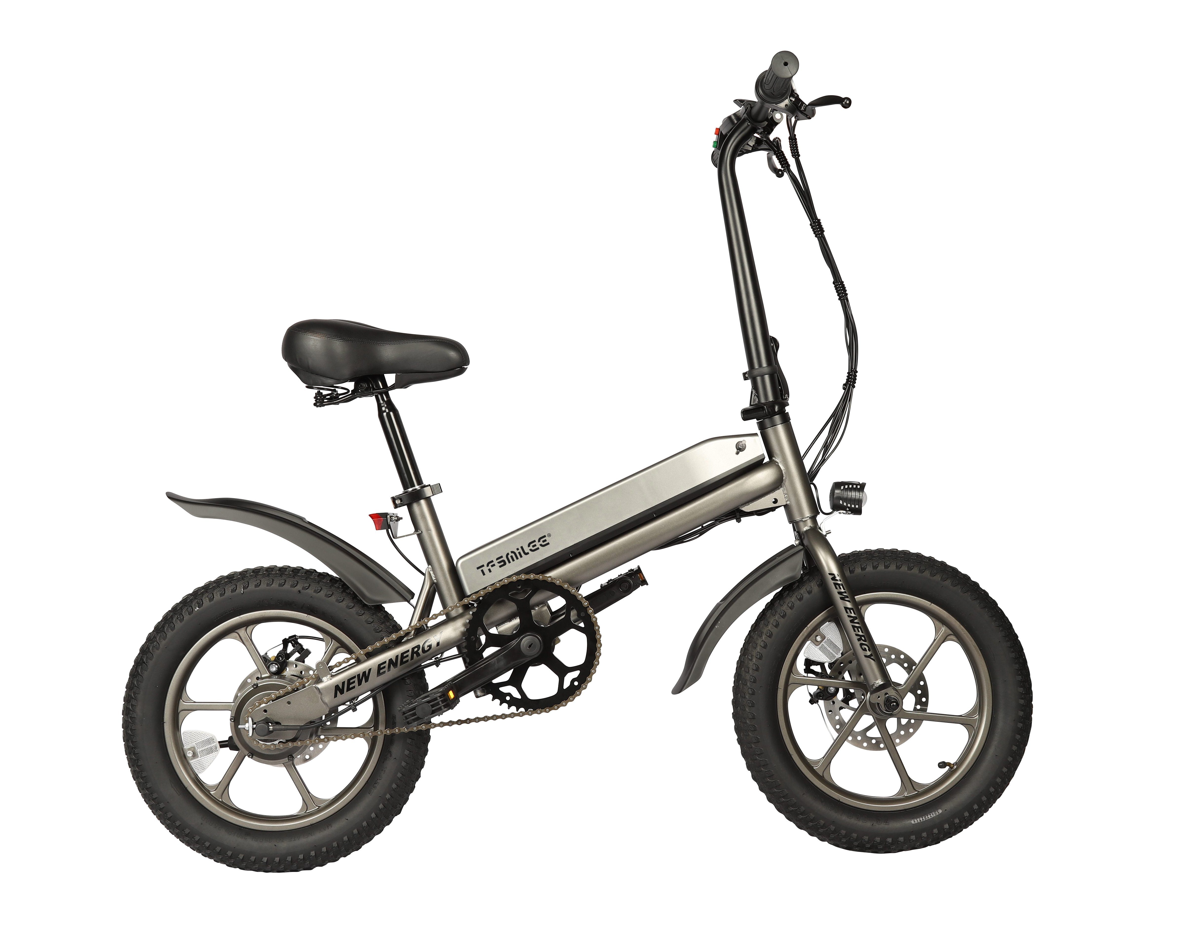 Elektrofahrräder bürstenlose E-Bike DOTMALL Zoll 16 Motor Faltrad,250W
