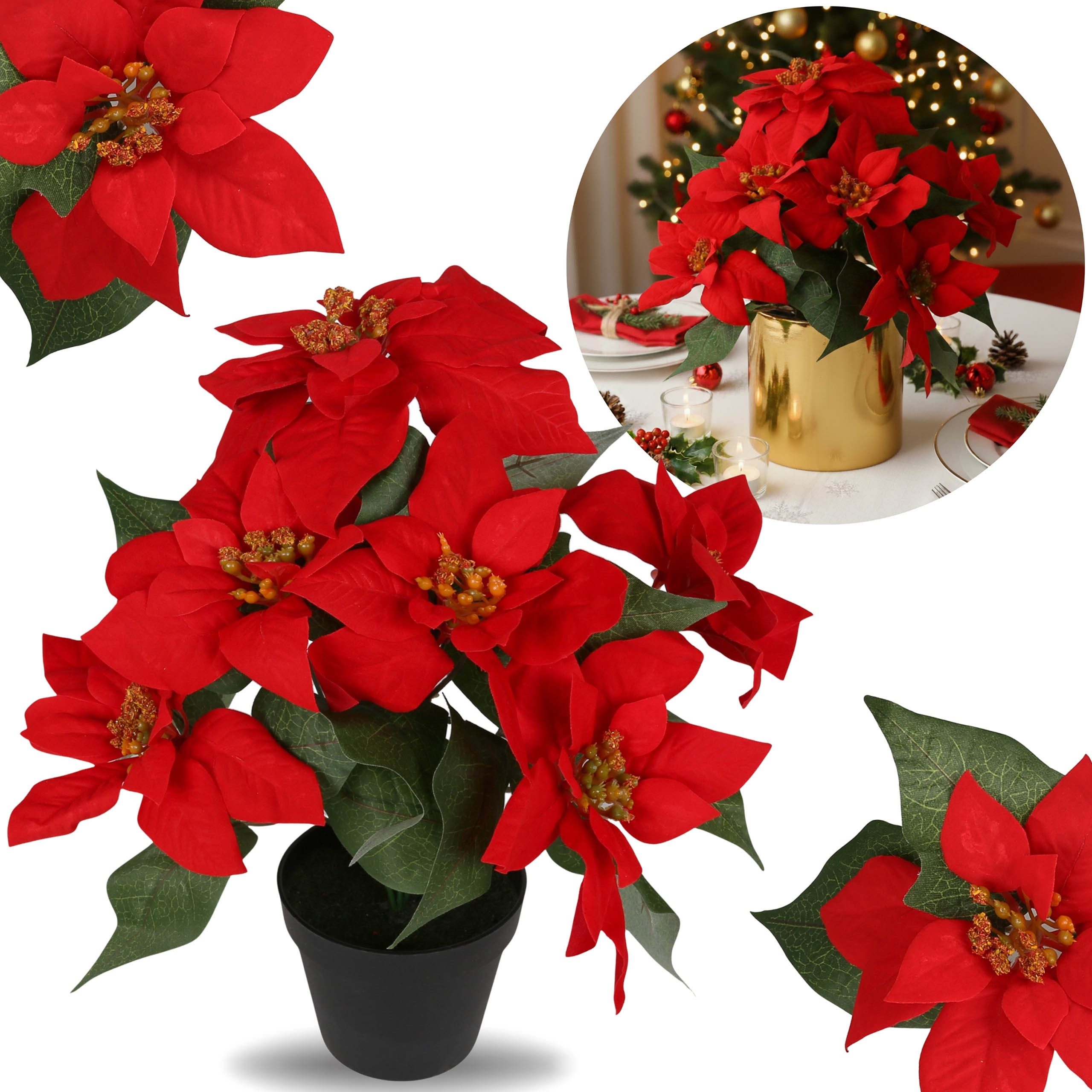 Kunstblume Künstliche Blume im Topf, roter Stern von Bethlehem, 35 cm, Sarc günstig online kaufen