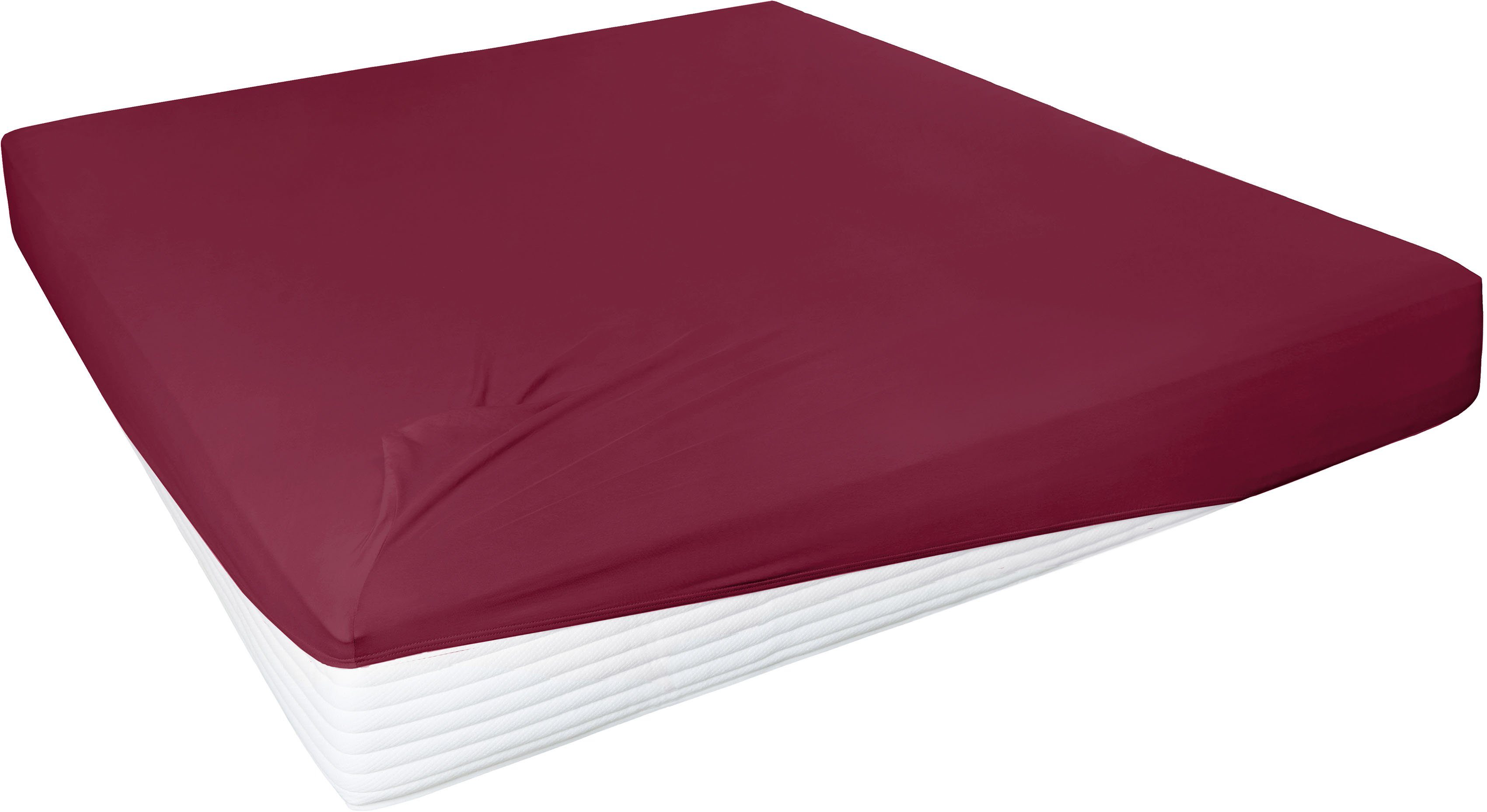 Primera Spannbettlaken Elasthan-Feinjersey, Jersey-Elasthan, Gummizug: rundum, (1 Stück), PREMIUM, aus 95% gekämmter Baumwolle und 5% Elasthan, bis 28 cm Höhe
