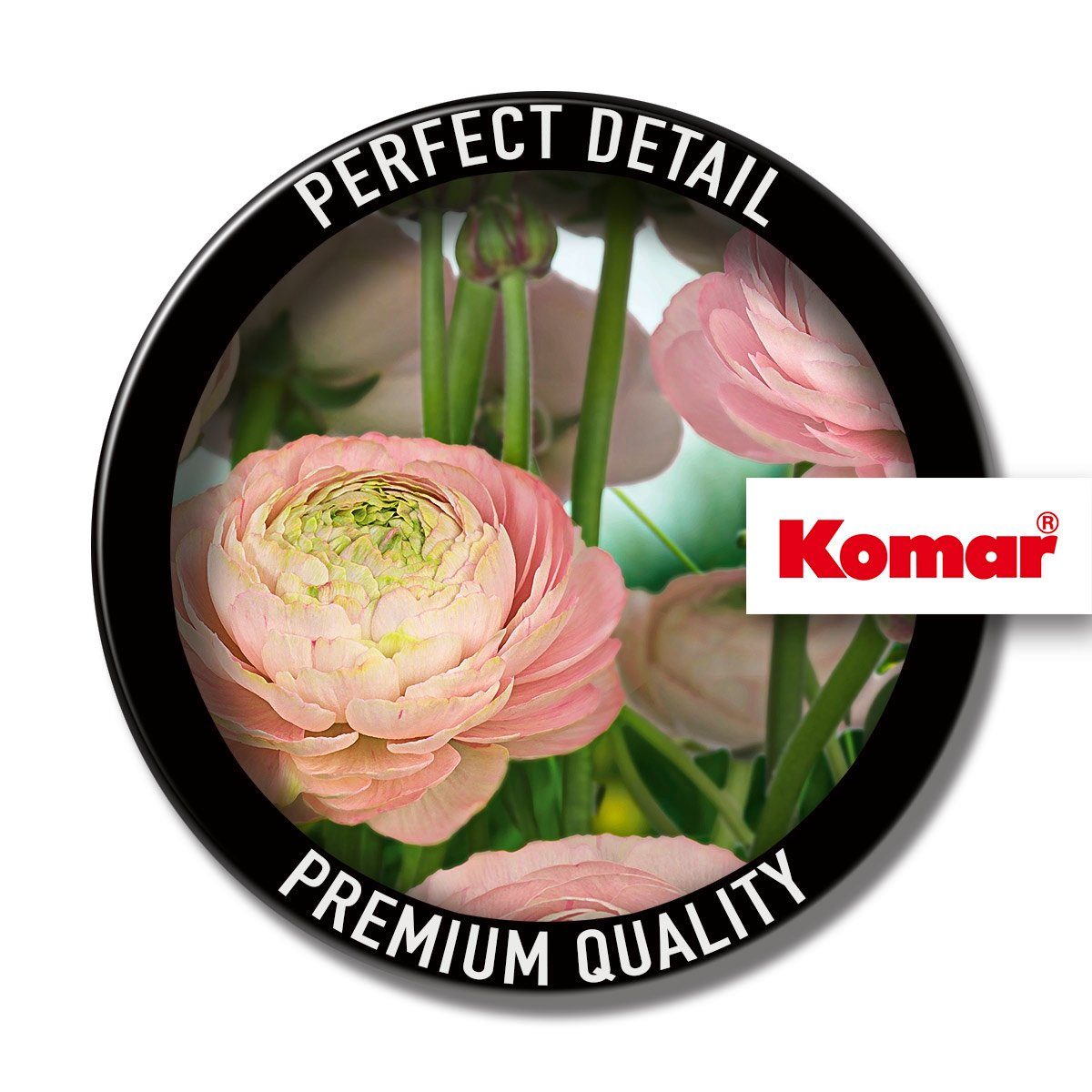 Komar (Breite Gentle 368x254 Fototapete Rosé, Höhe) (1 x cm St),