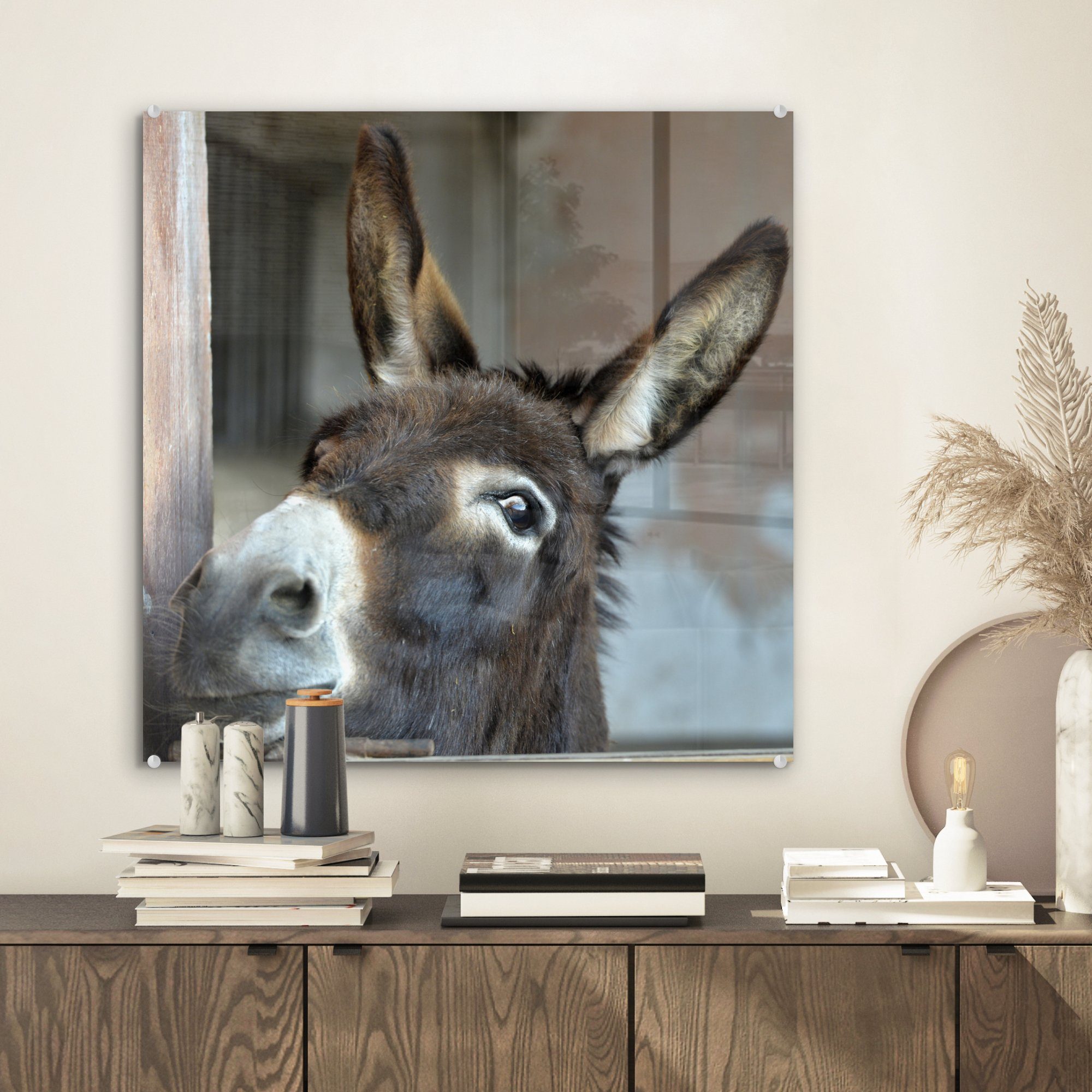 MuchoWow Acrylglasbild Esel, Inkl. Aufhängung, Bild günstig online kaufen