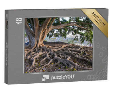 puzzleYOU Puzzle Große Baumwurzel, 48 Puzzleteile, puzzleYOU-Kollektionen Bäume, Wald & Bäume