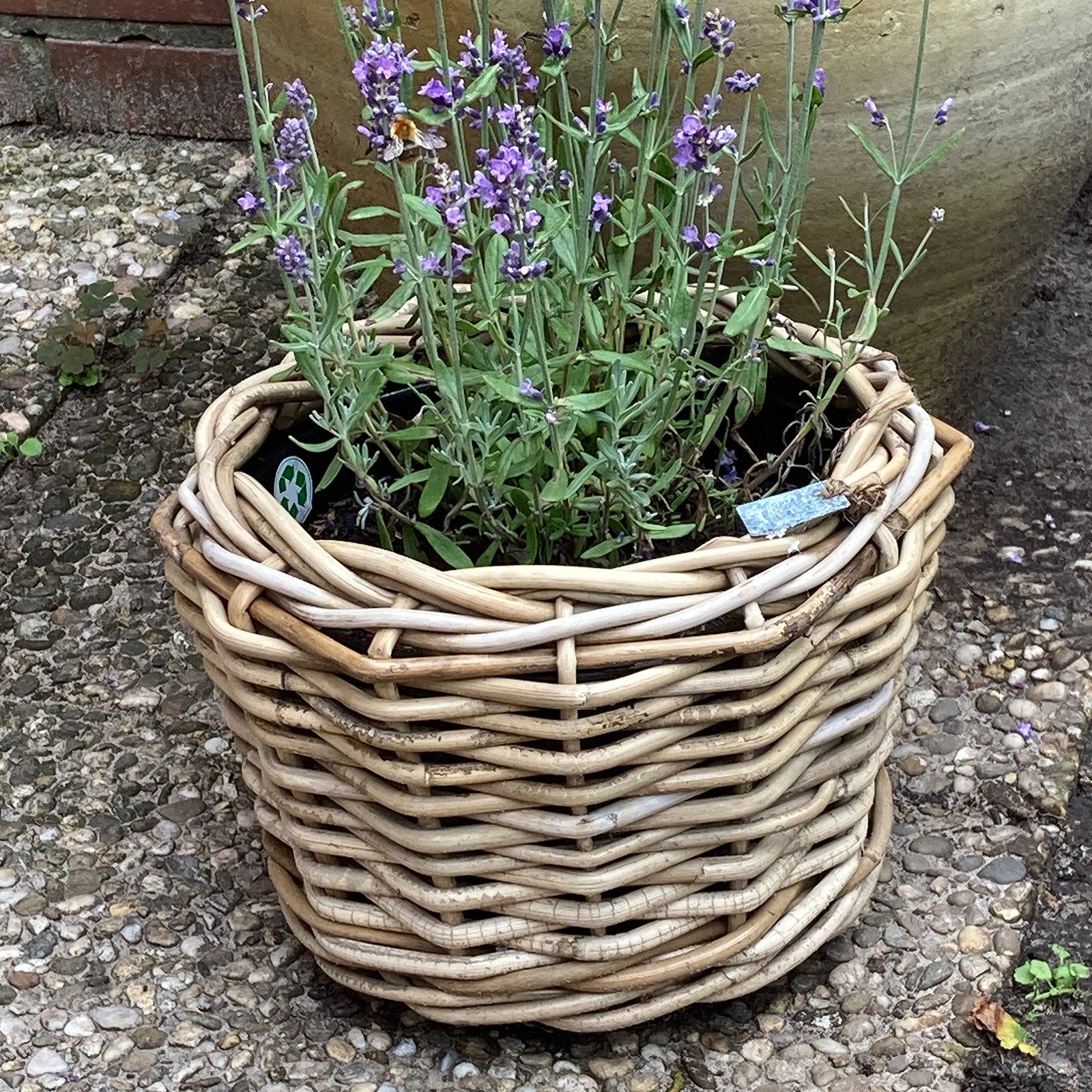 Van der Leeden Blumentopf Blumenkorb Pflanzkorb günstig online kaufen