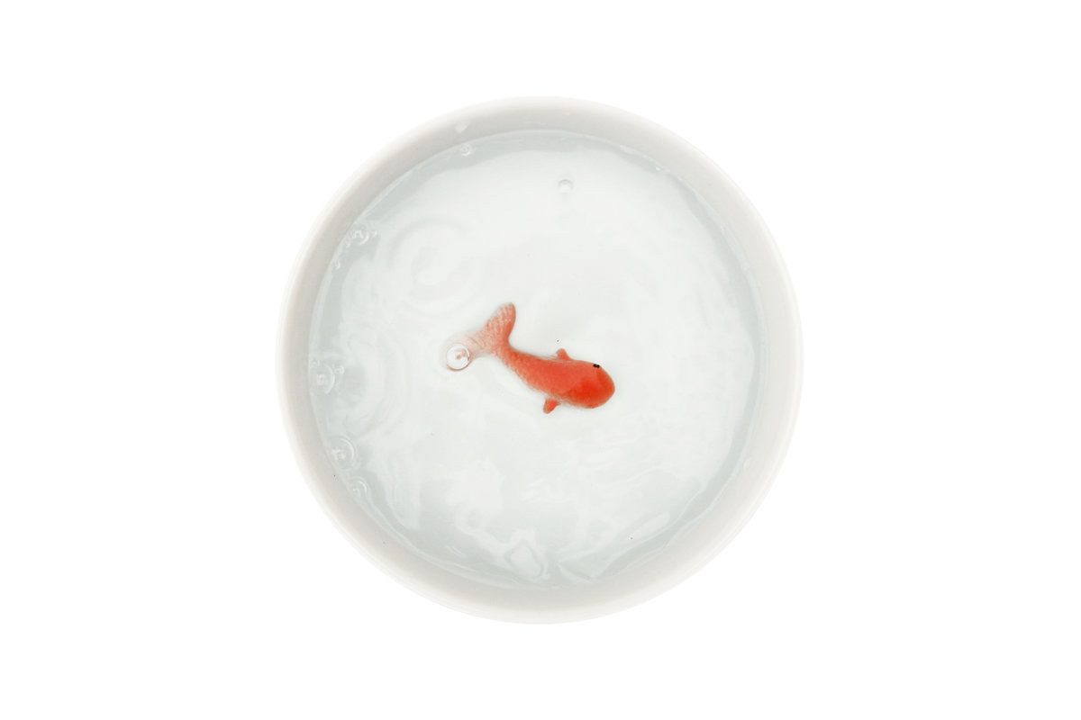 SuckUK Futternapf Goldfisch Katzen Trinknapf, Keramik, ca. Ø 12,4 x 4,3 cm