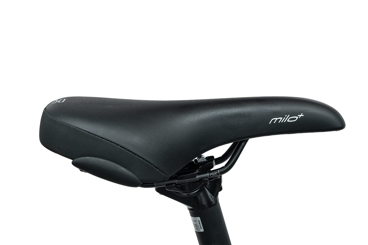 Kreidler Cityrad Rabeneick TS5 Lite, 9 Gang, Leichter Rahmen, Trapez/Diamant, Lichtanlage, alltagstauglich