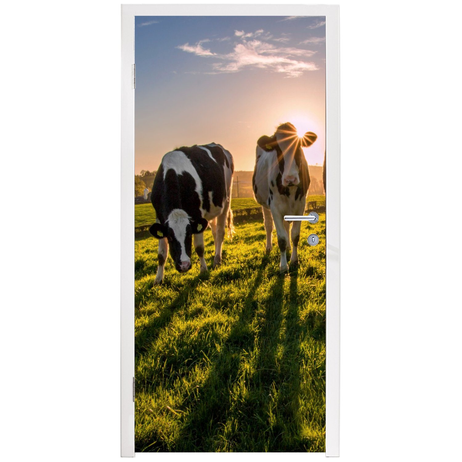 cm für Tür, (1 Bauernhof, Matt, MuchoWow Kühe Türtapete Fototapete St), Sonne bedruckt, Türaufkleber, - - Gras - 75x205 - Tiere