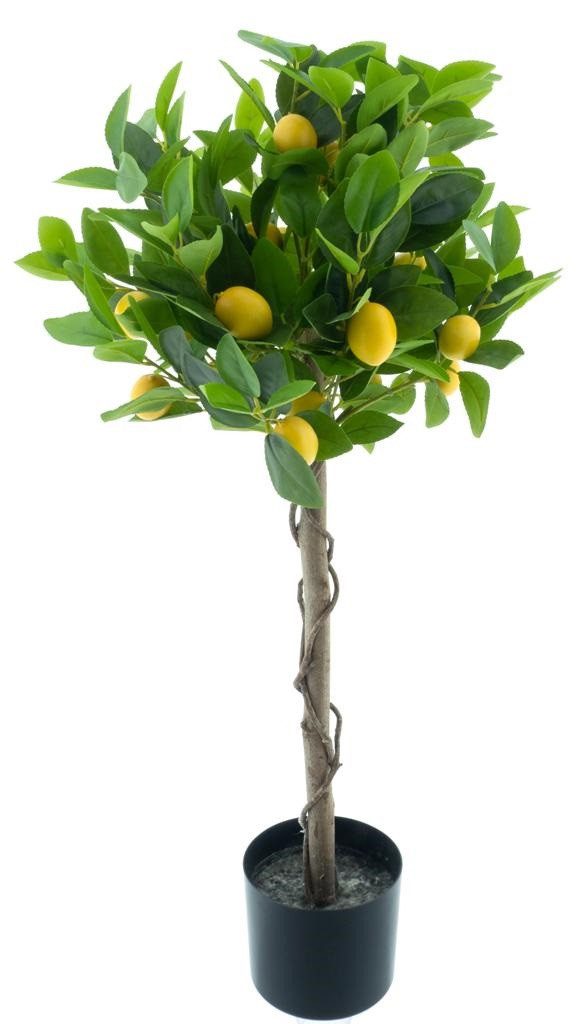 Kunstbaum Zitronen- oder Orangenbaum Höhe 90cm mit Echtholzstamm, mucPlants