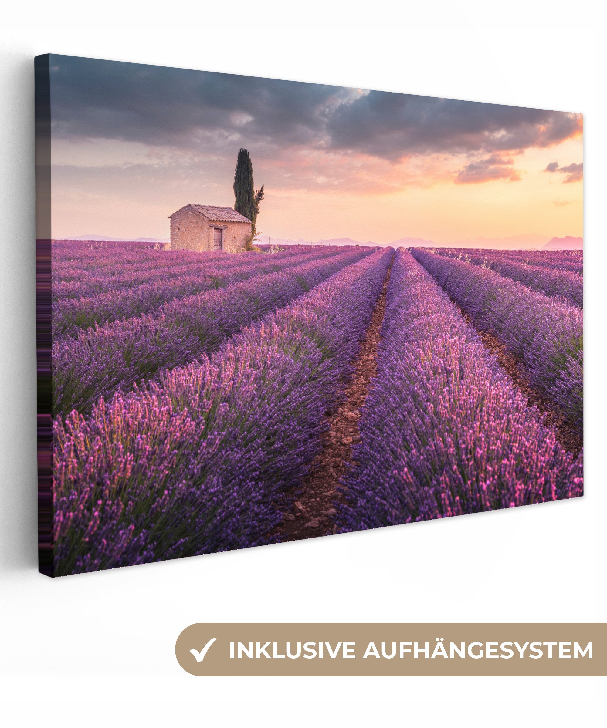 OneMillionCanvasses® Leinwandbild Lavendel - Blumen - günstig online kaufen