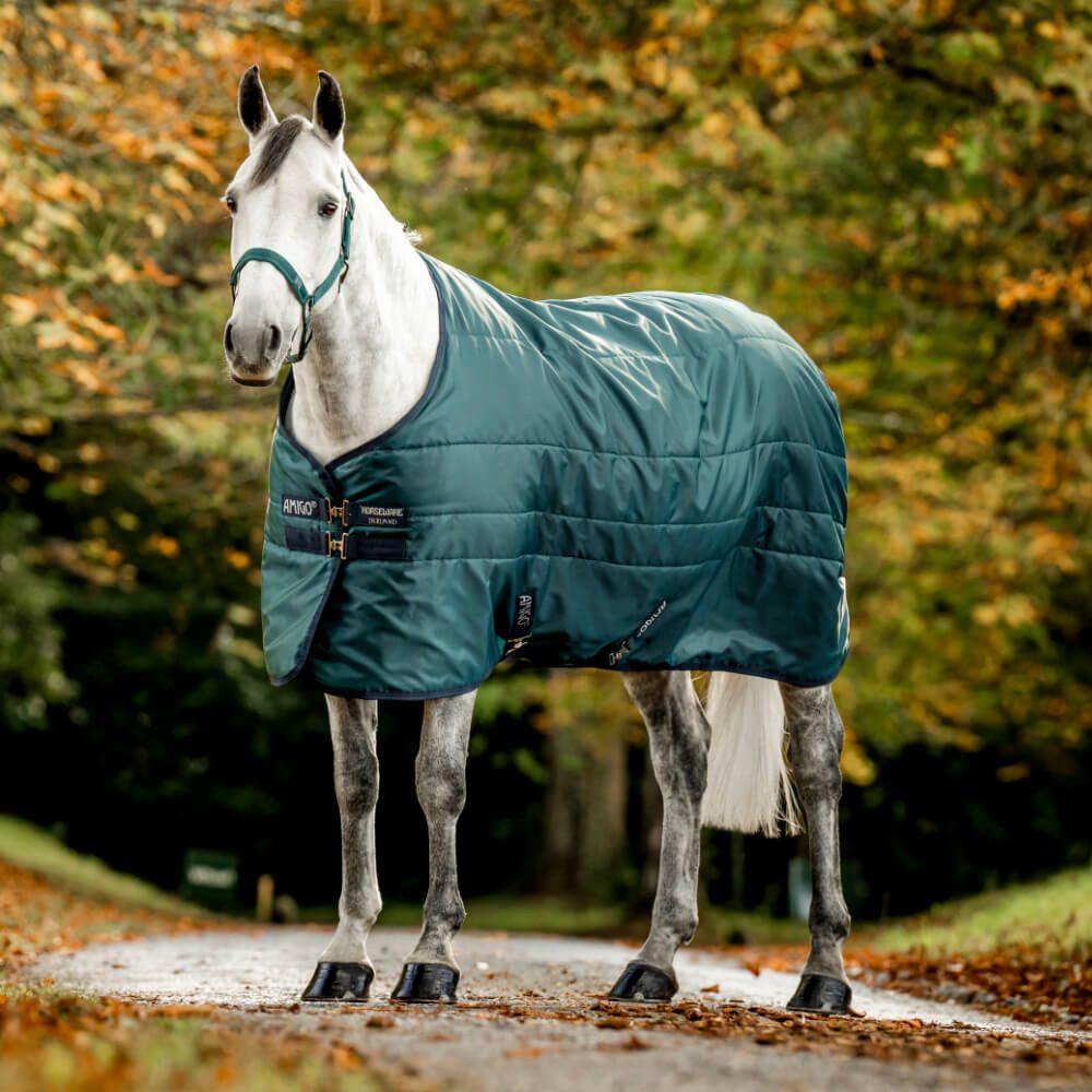 Pferde-Stalldecke Horseware Amigo Ripstop Insulator Stable 350g