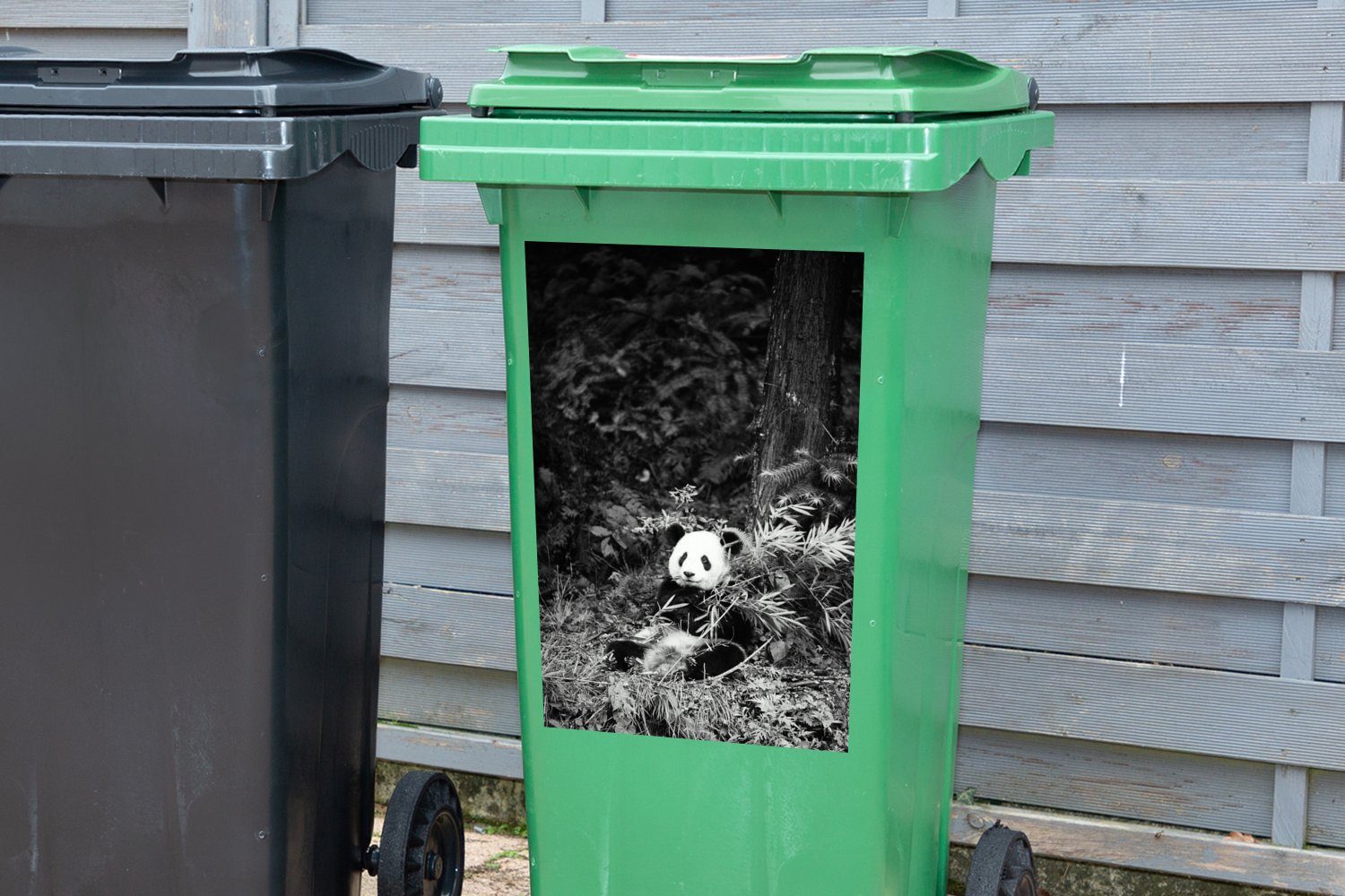 Bambus MuchoWow und Wandsticker Sticker, Schwarz Mülleimer-aufkleber, (1 St), zwischen dem Weiß Panda in Abfalbehälter Container, Mülltonne,