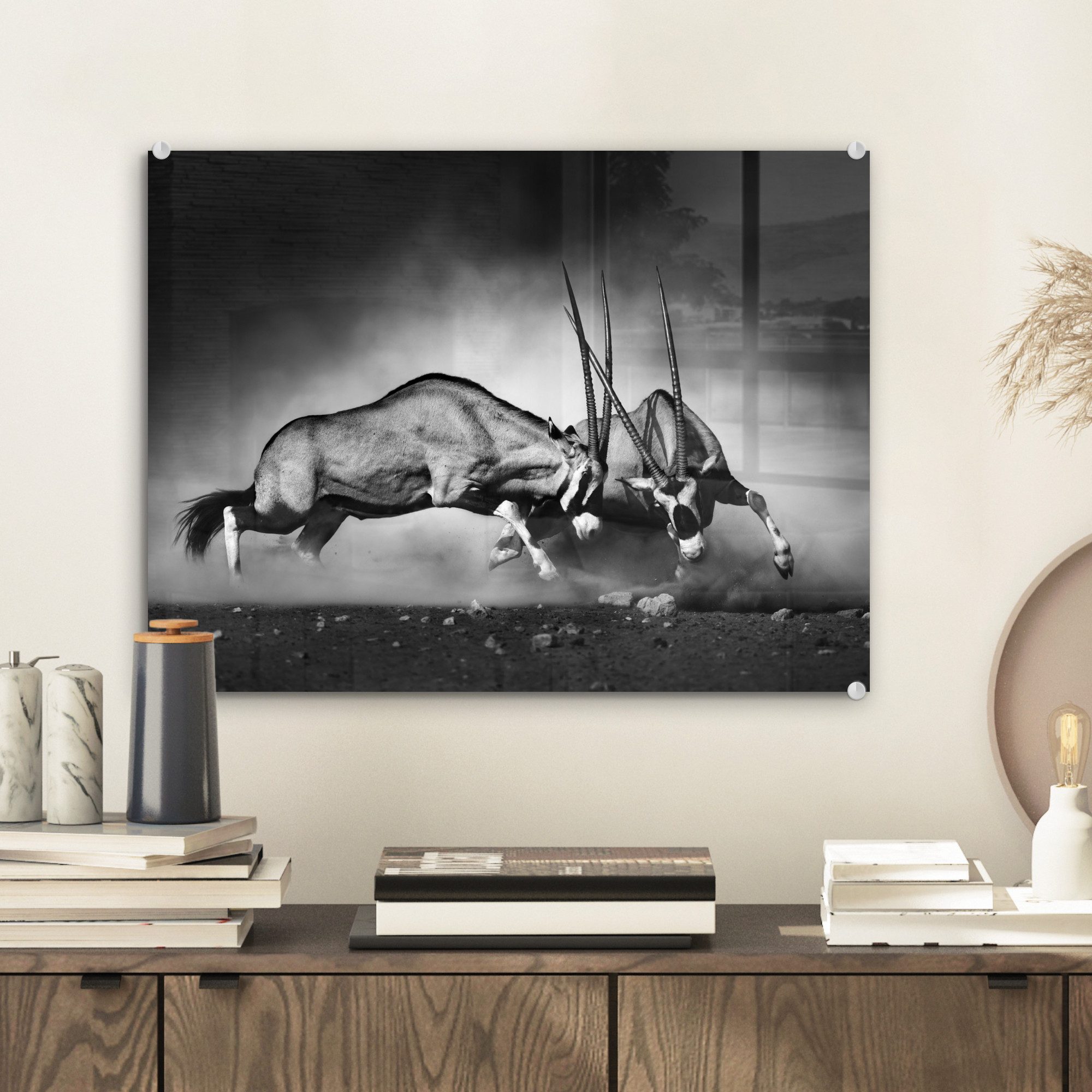MuchoWow Acrylglasbild Antilope - Schwarz und günstig online kaufen