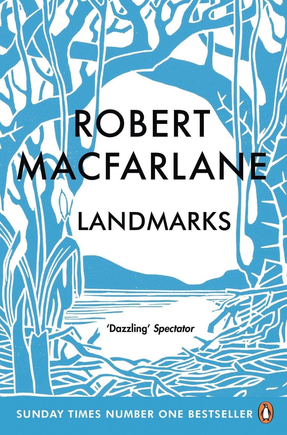 Belletristik Landmarks Robert Macfarlane
