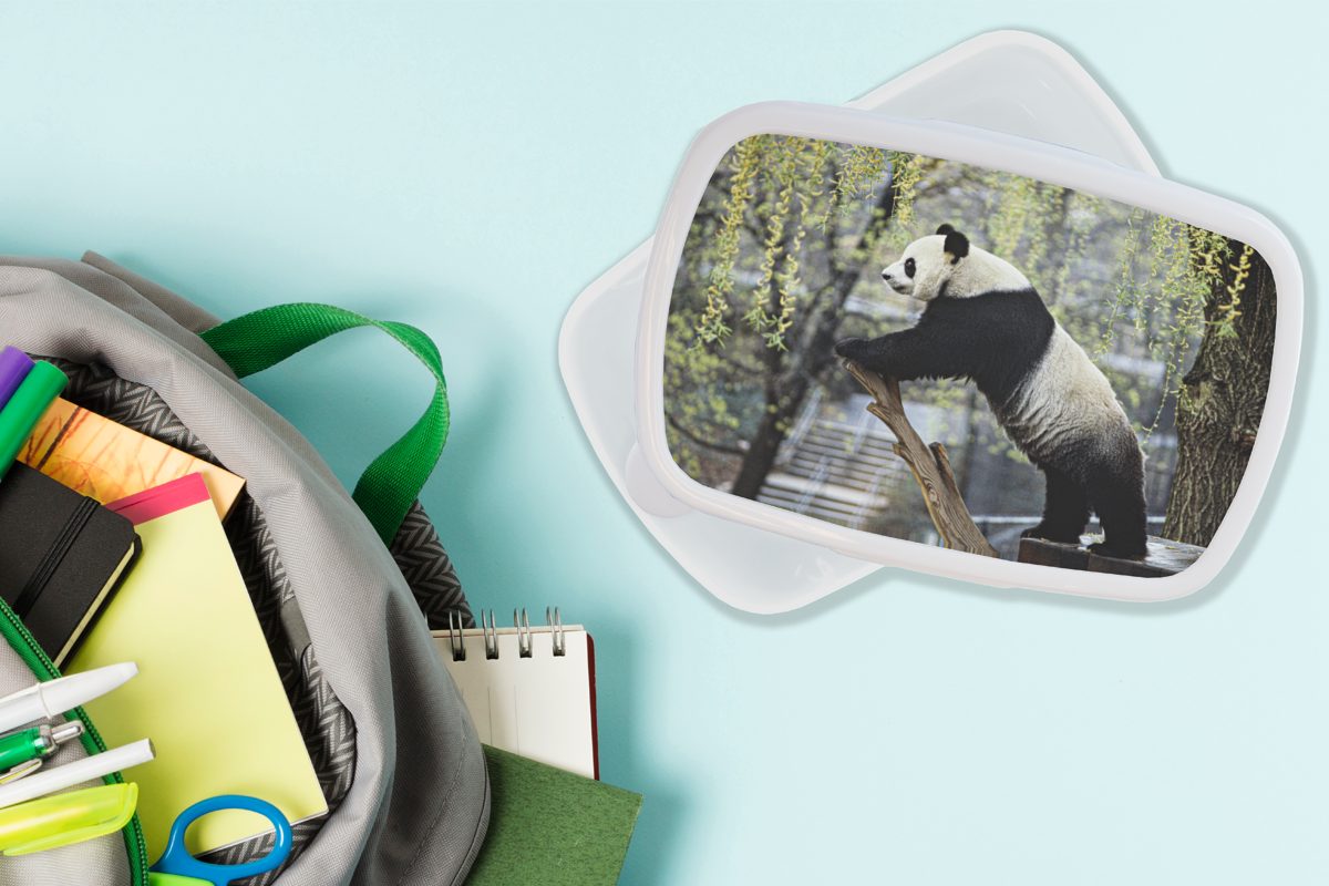 Panda - (2-tlg), Erwachsene, Baum, für Kunststoff, Mädchen Brotbox und Brotdose, - weiß Lunchbox Jungs Fluss und MuchoWow Kinder für