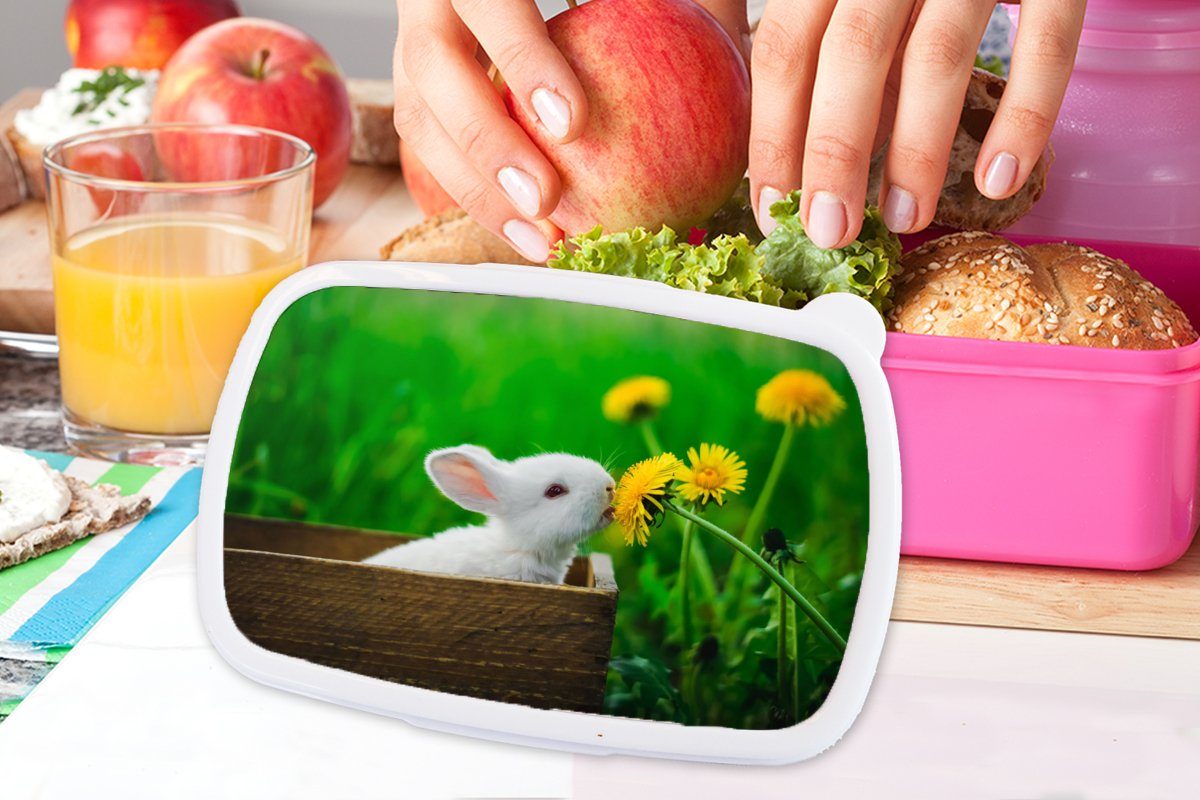 Kunststoff, Mädchen, Snackbox, (2-tlg), Kaninchen für Kunststoff Brotbox Löwenzahn rosa MuchoWow Erwachsene, Gras, - Lunchbox Brotdose Kinder, -
