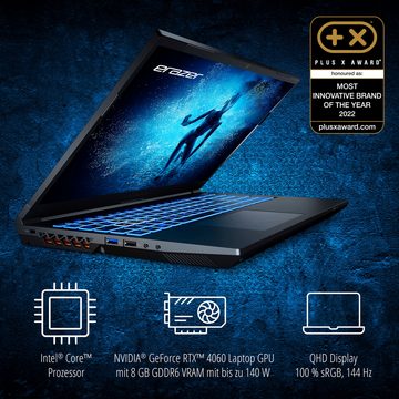 ERAZER Gaming-Notebook (43.9 cm/17.3 Zoll, Intel Core i7 12. Gen Core i7-12650H, Nvidia Geforce RTX 4060, 1000 GB SSD, Full-HD Display 144Hz, DEFENDER_P50)