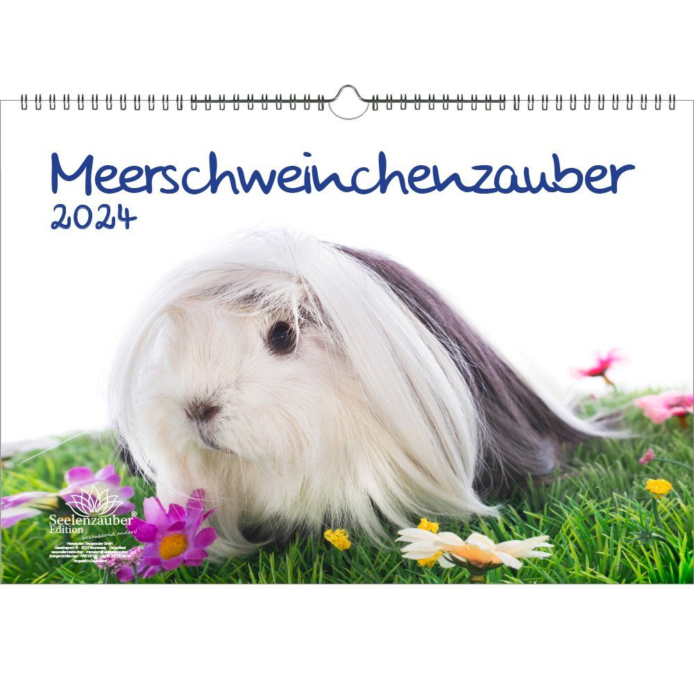 Seelenzauber Wandkalender Meerschweinchenzauber DIN A3 Kalender für 2024 Meerschweinchen - Seele