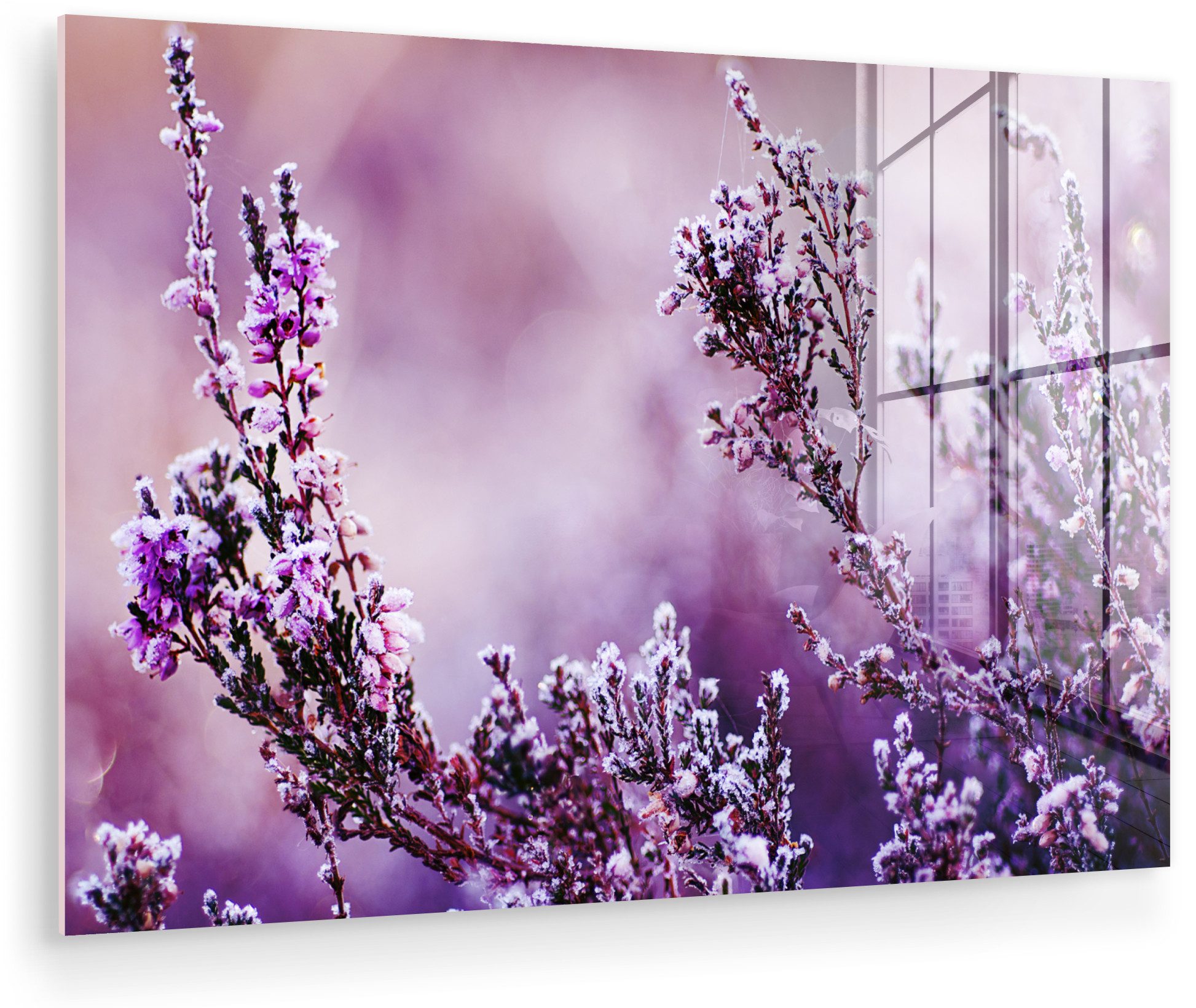 MuchoWow Acrylglasbild Lavendel - Winter - Blumen - Lila, Inkl. Aufhängung, Glasbilder Wohnzimmer, Schlafzimmer, Flur & Esszimmer, 30x20 cm