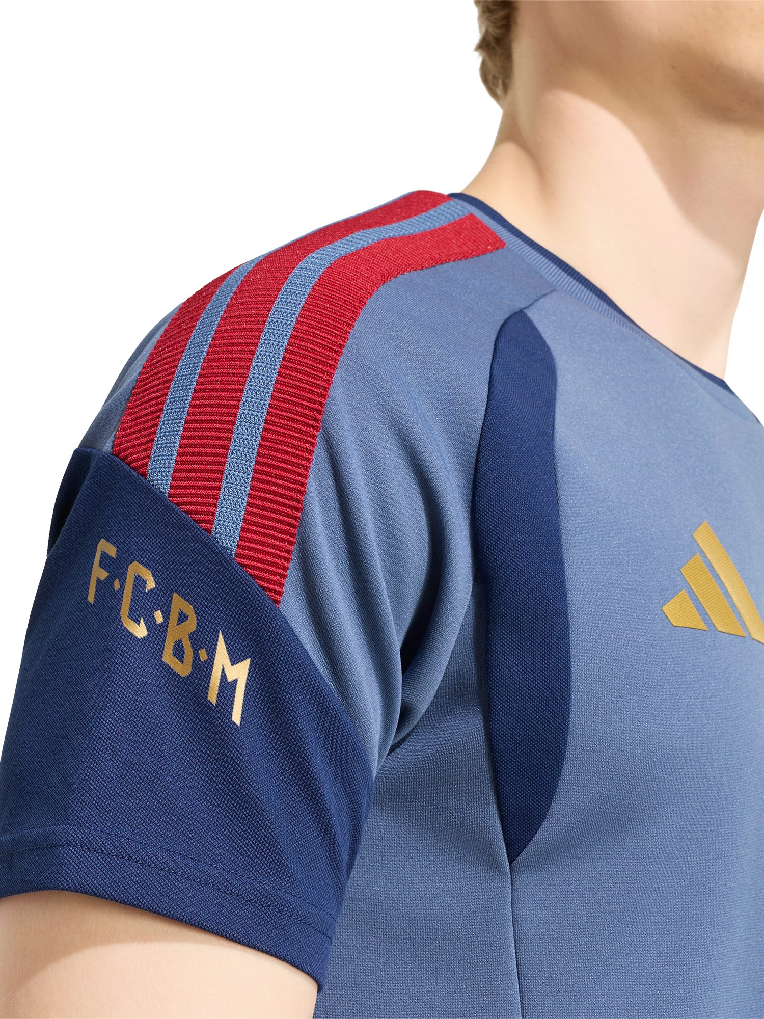 adidas Performance T-Shirt FC Bayern München, Authentic T-Shirt Teamline, Herren, Blau