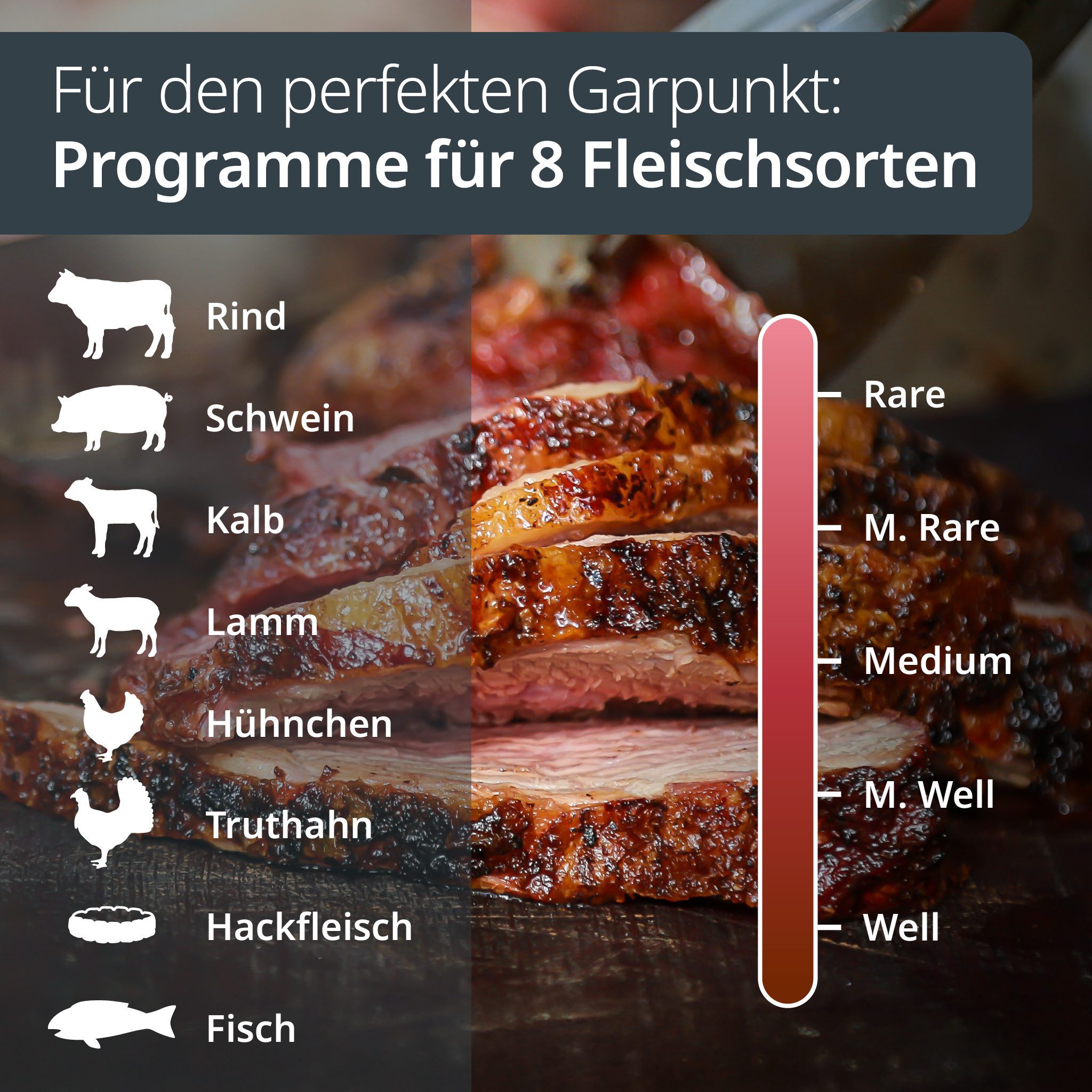 ADE Bratenthermometer für Ofen, Grill, Heißluftfritteuse, Zucker, Marmelade, heiße Getränke, digital, bis 250 °C, extra feiner Fühler, mit Timerfunktion