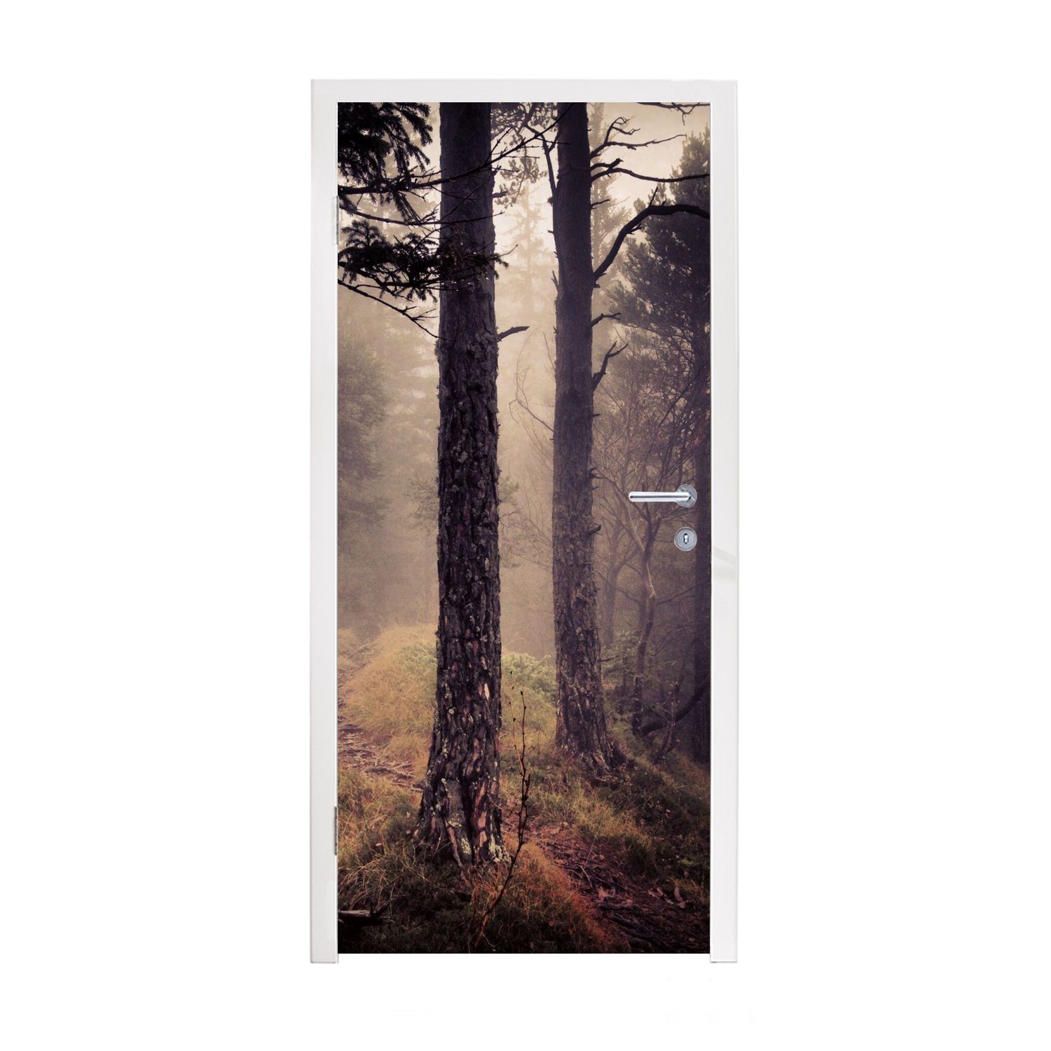 bedruckt, (1 - Natur cm Türtapete Herbstdekoration St), Nebel Matt, Tür, Fototapete Wald, für 75x205 - Türaufkleber, MuchoWow -