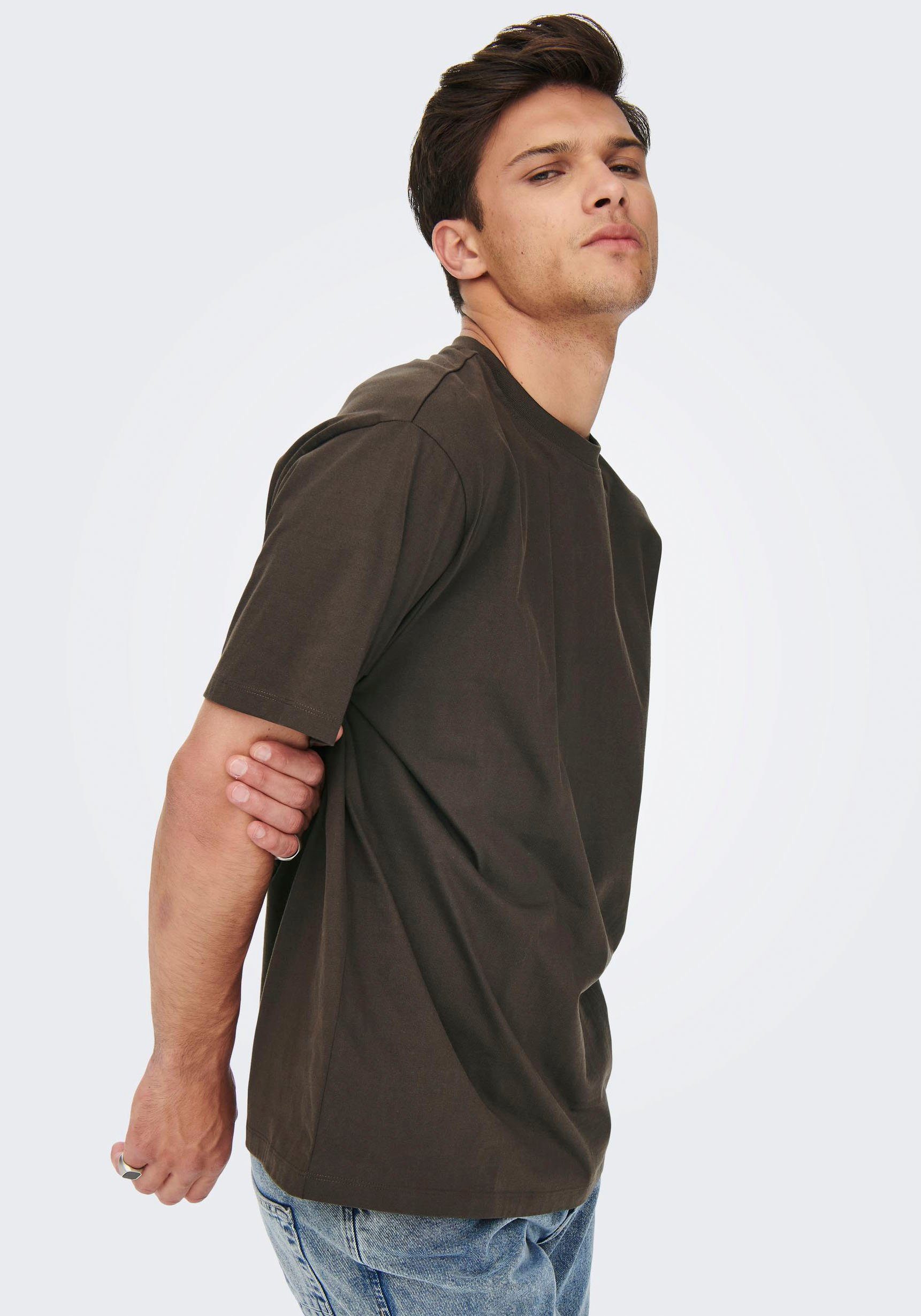 ONLY & SONS Seal FRED T-Shirt Brown