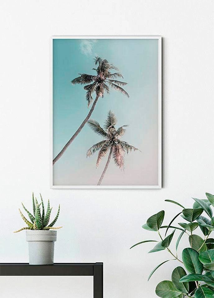 Miami Schlafzimmer, (1 Kinderzimmer, Komar Blätter, St), Pflanzen Wohnzimmer Palms, Poster