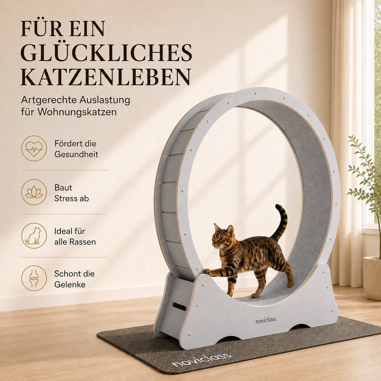 noviclass Tierlaufrad Katzenlaufrad 'Baghira' XXL Groß 120cm Innendurchmesser