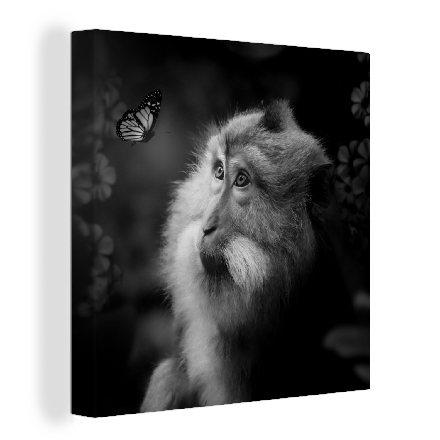 OneMillionCanvasses® Leinwandbild Schmetterling - Tiere - Affe - Schwarz - Weiß, (1 St), Leinwand Bilder für Wohnzimmer Schlafzimmer