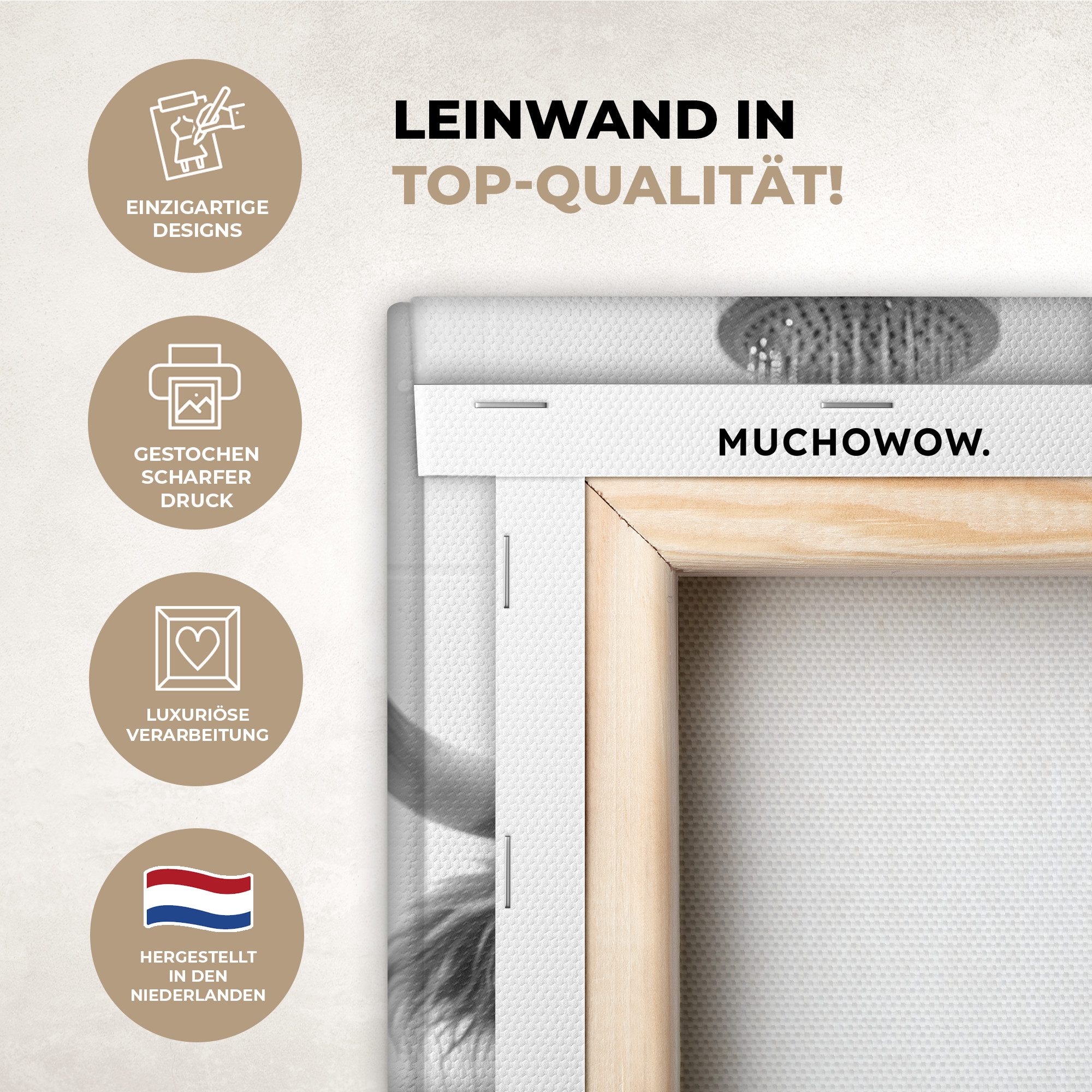 OneMillionCanvasses® Leinwandbild Schottischer Highlander - Tier - Dusche - günstig online kaufen