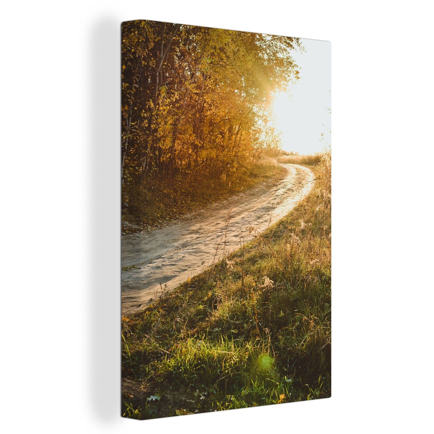 OneMillionCanvasses® Leinwandbild Weg - Natur - günstig online kaufen