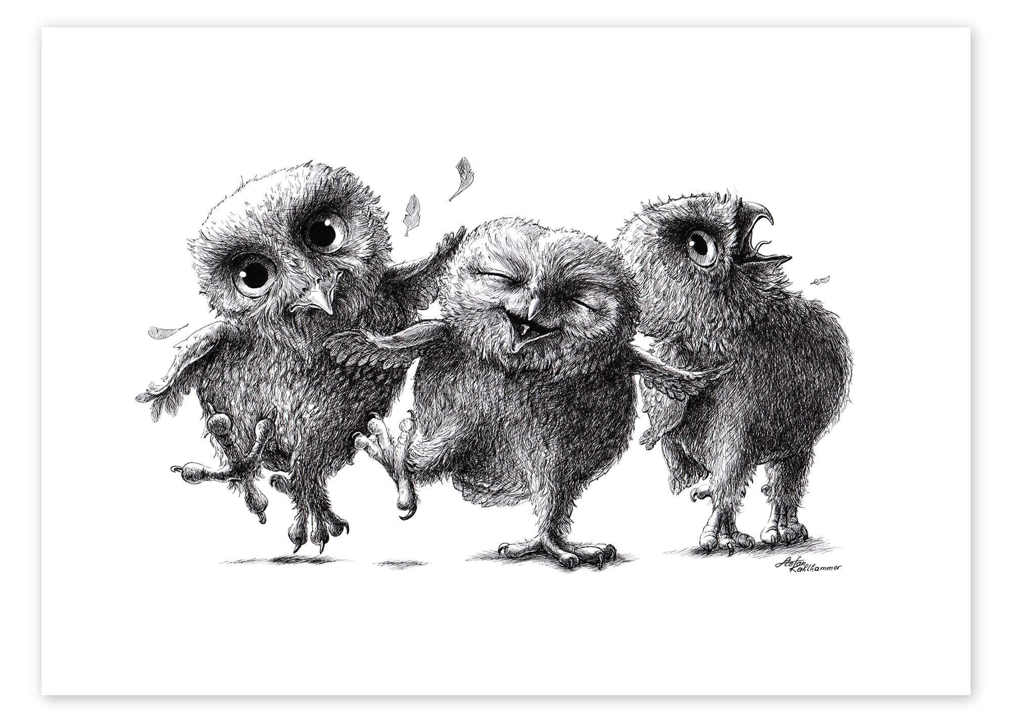 Posterlounge Wandbild Drei verrückte Eulen, Stefan Kahlhammer, erhältlich a günstig online kaufen