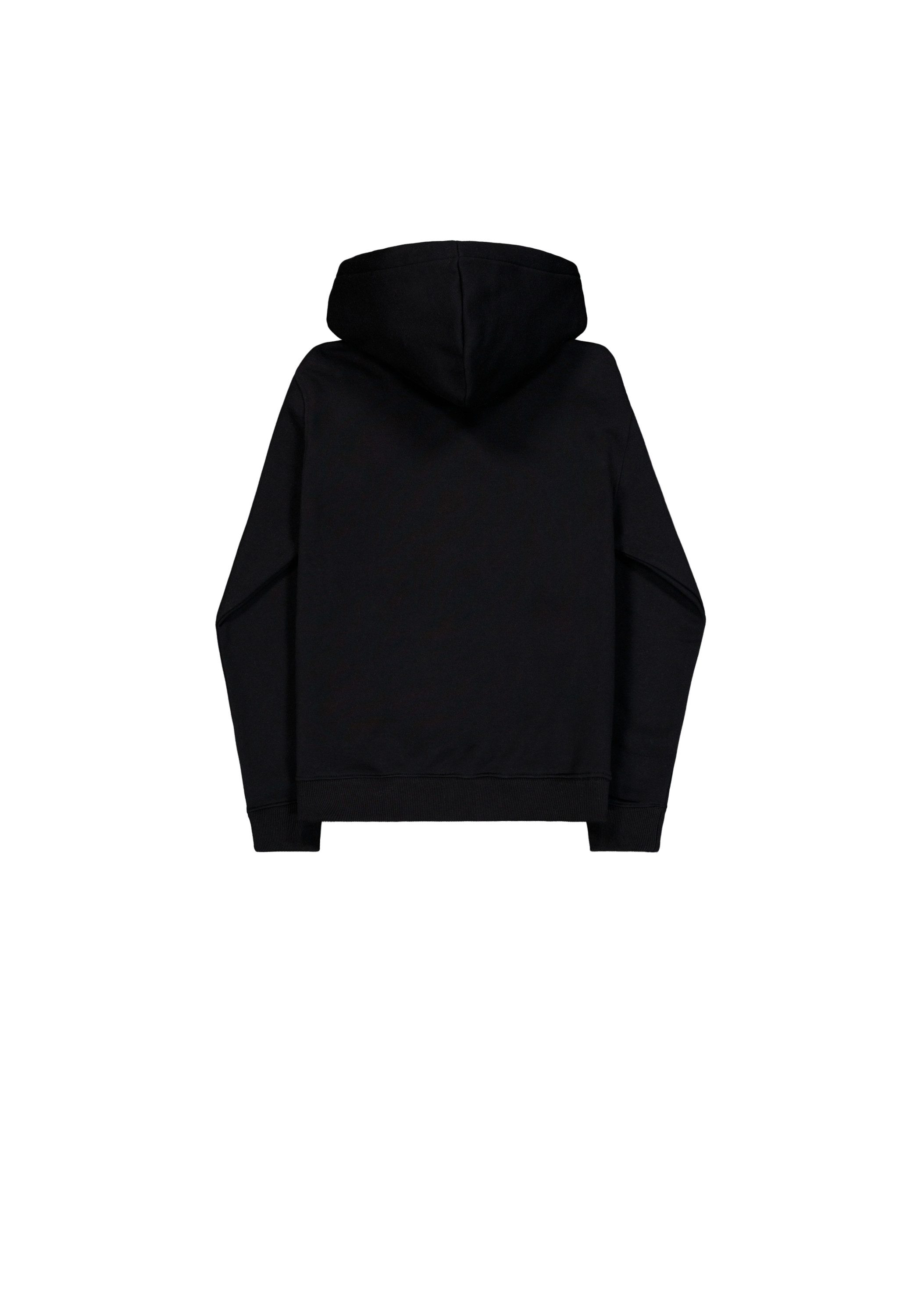Alpha Industries Kapuzensweatshirt Basic Hoodie BL Mirror Leo W